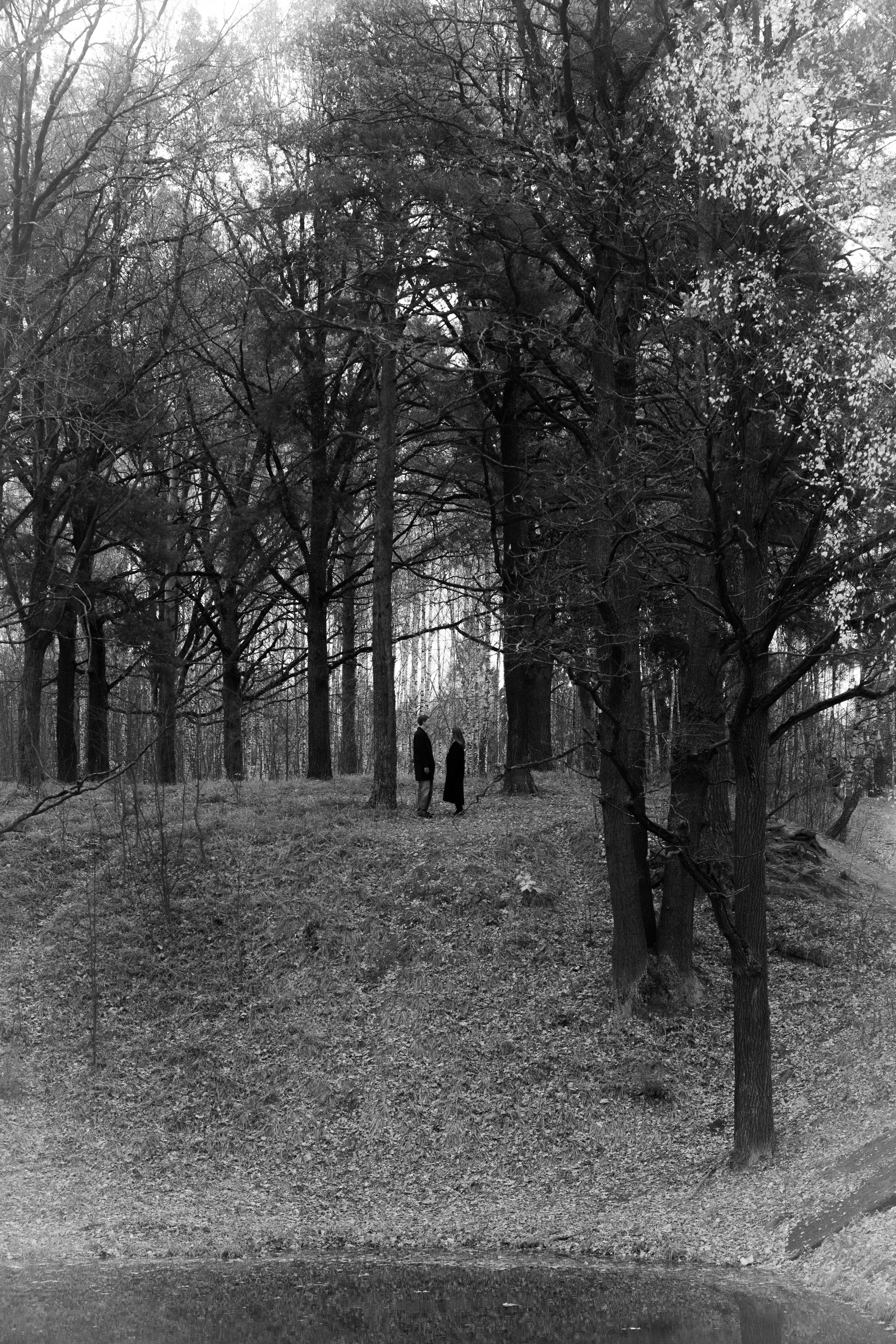 Леша + Лера. Семейный и детский фотограф Юлия Шох