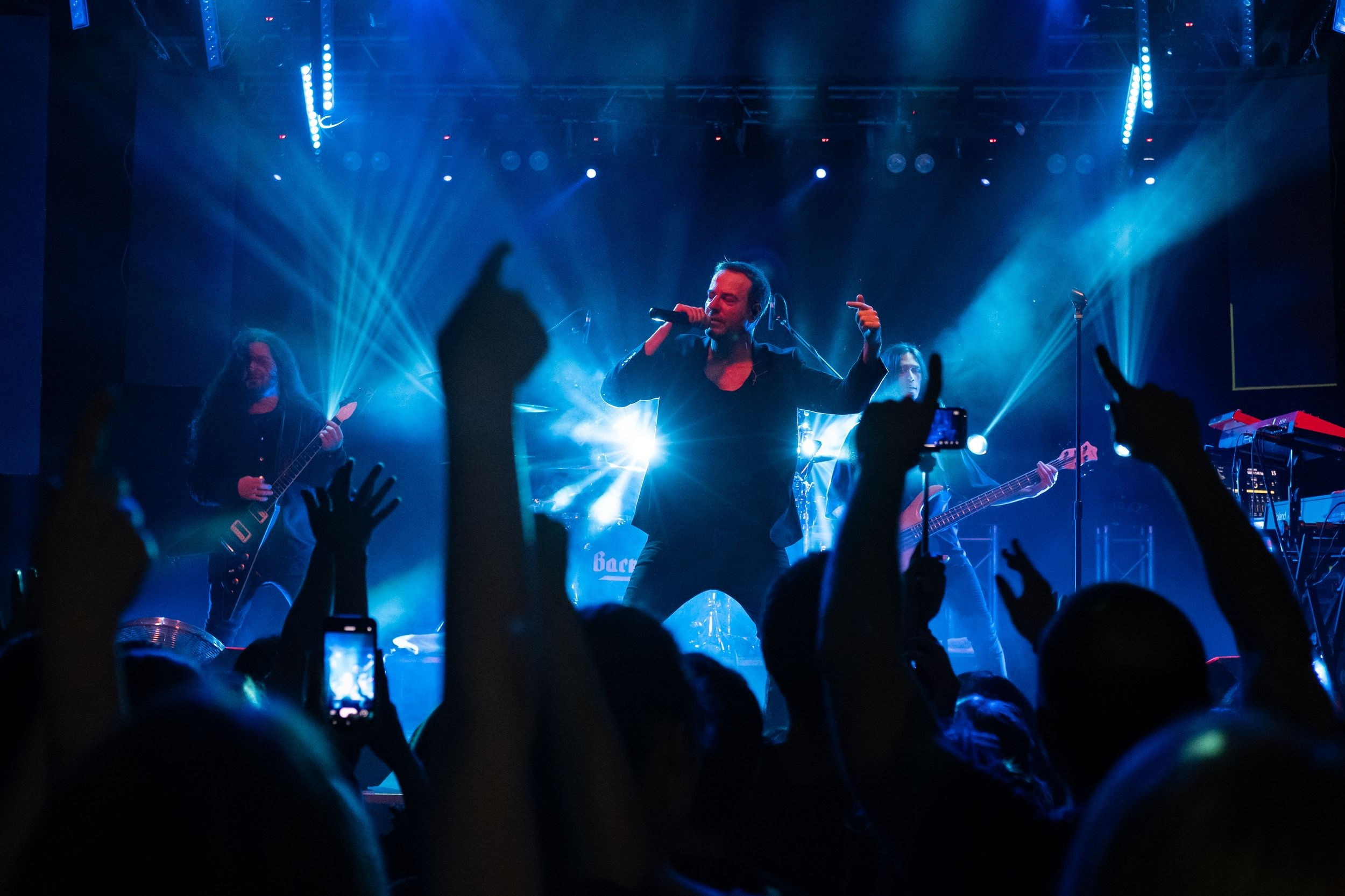 Animal ДжаZ. Репортажный фотограф Алексей Пирязев