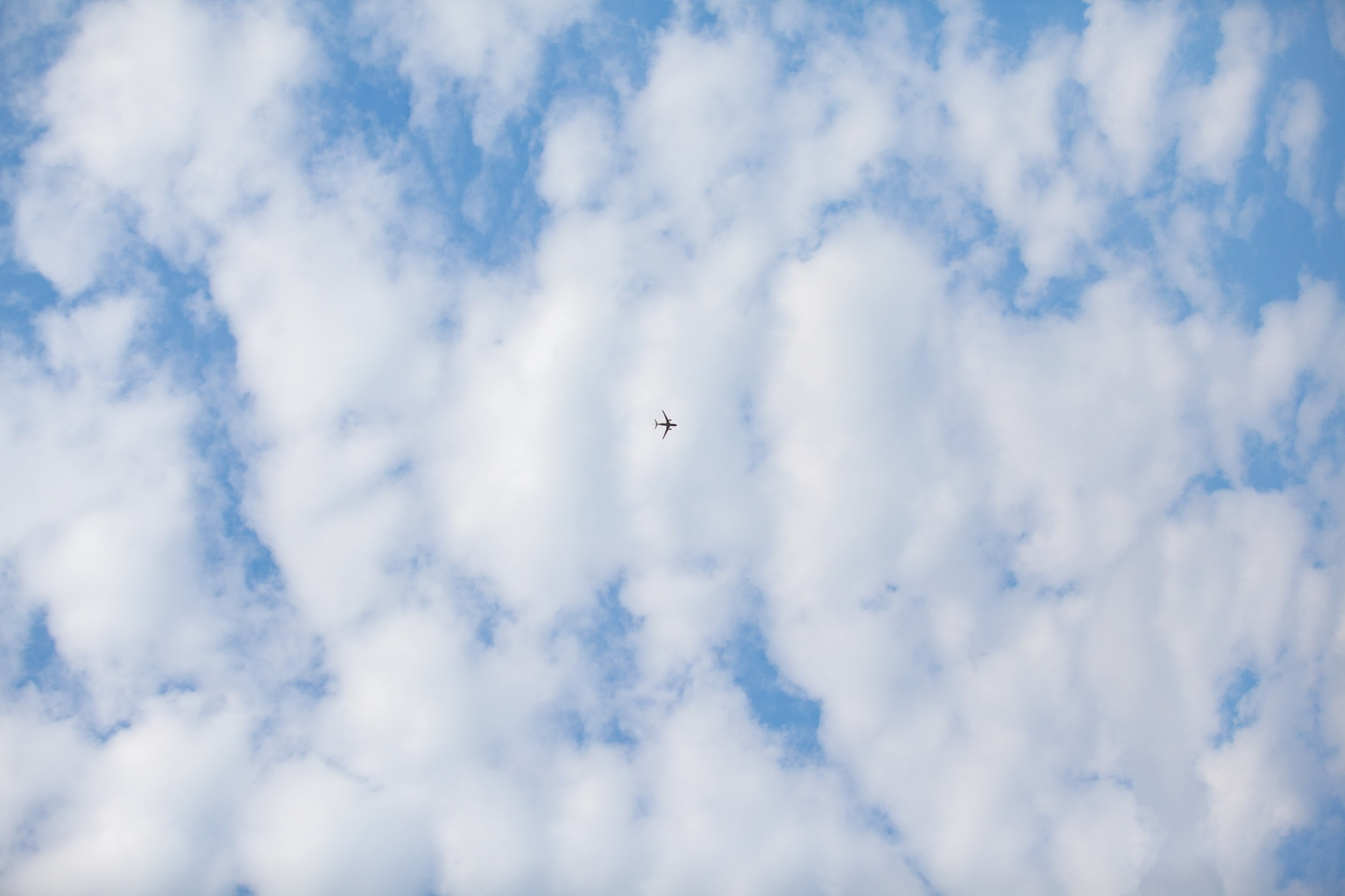 Тульские крылья (23 июня 2019). Репортажный фотограф Алексей Пирязев