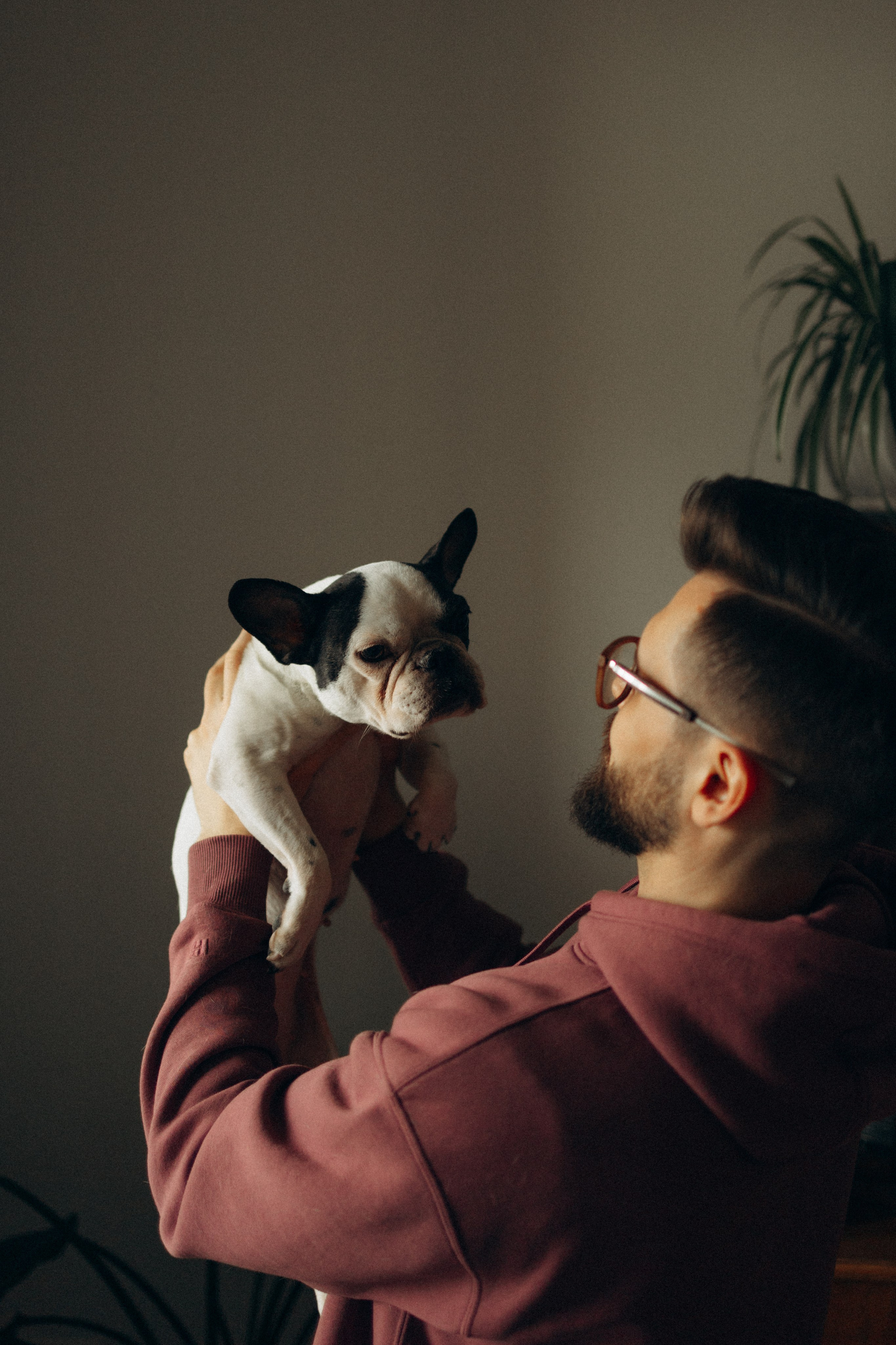 Зефирка, Булка и их Ро. Фотораф — анималист Мария Шистка