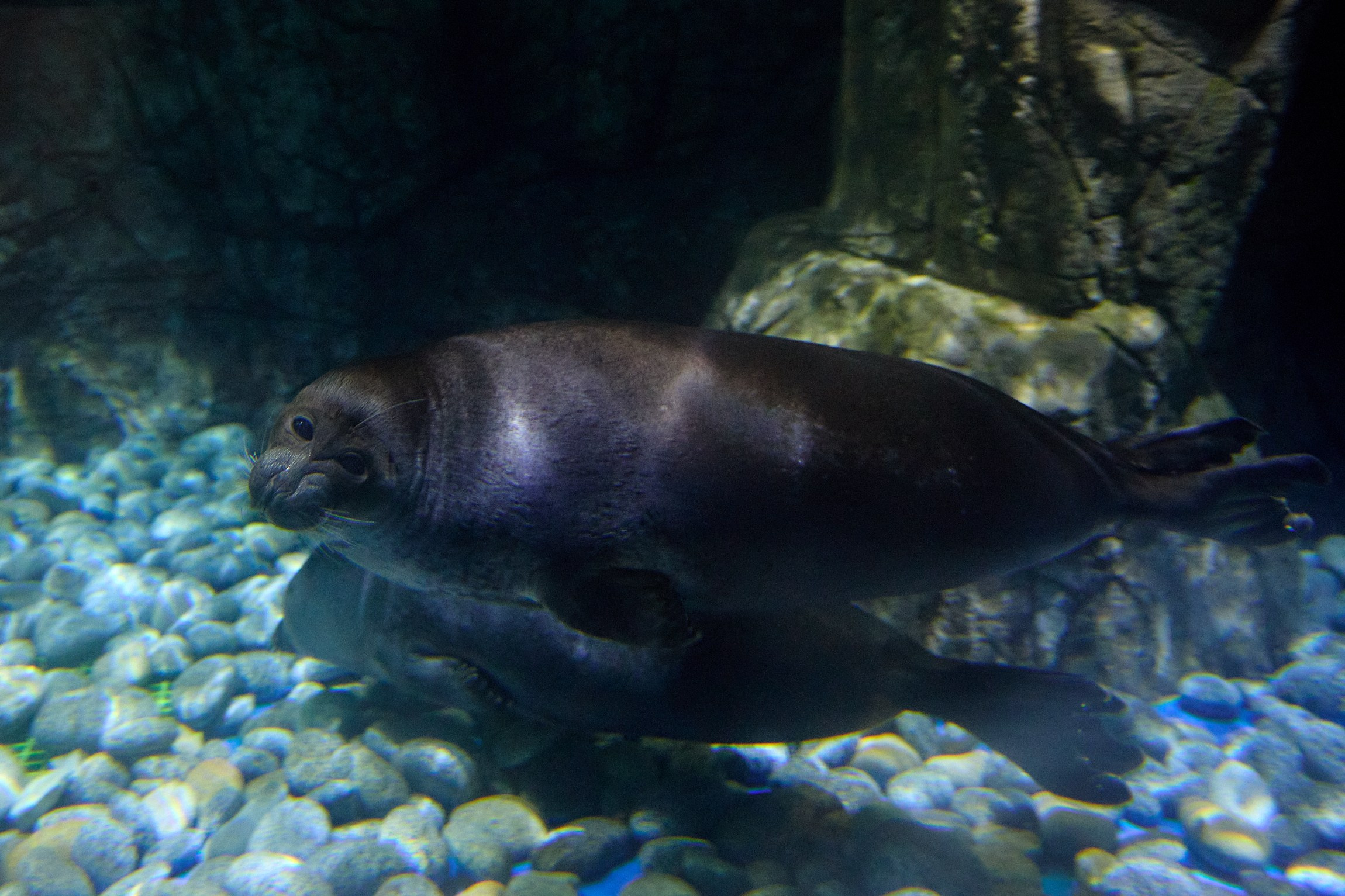 Фотограф репортаж Владивосток репортажная съёмка Приморский край фотосъёмка образование конференция форум