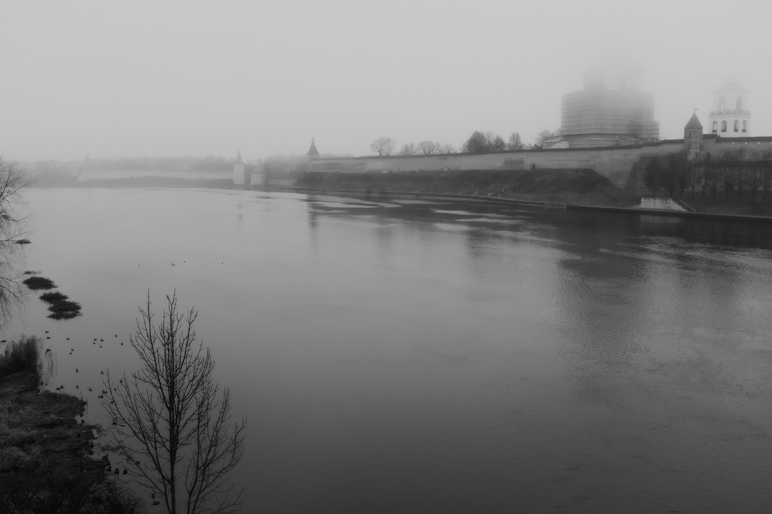 Фотограф Светлана Терентьева