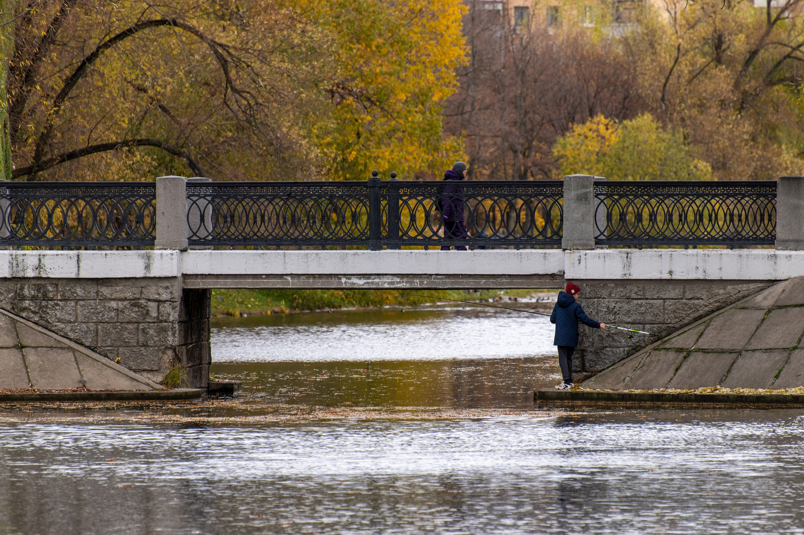 20221030 Новодевичий. Дмитрий Ремизов. Фотография, как хобби