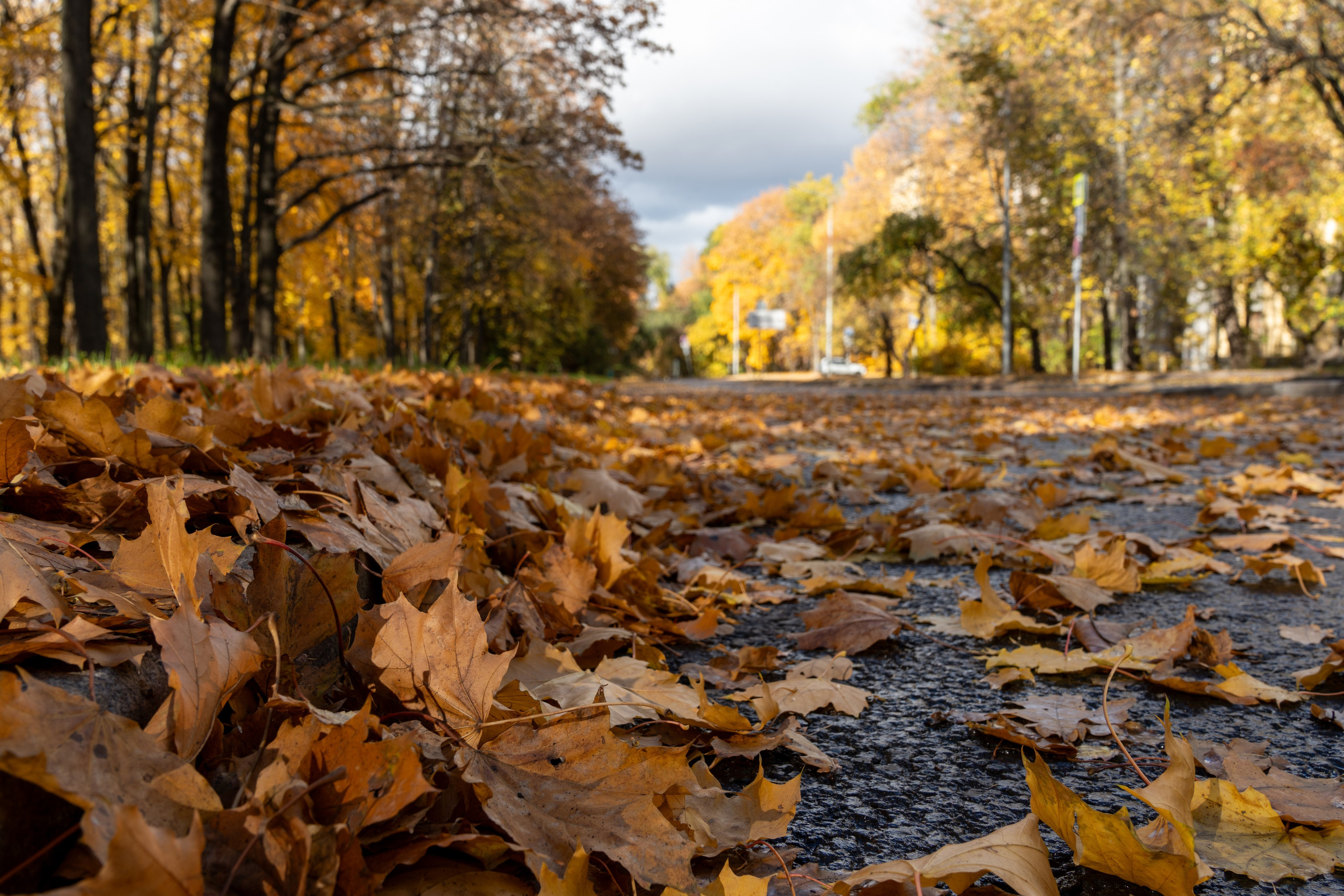 20251012 МГУ. Дмитрий Ремизов. Фотография, как хобби
