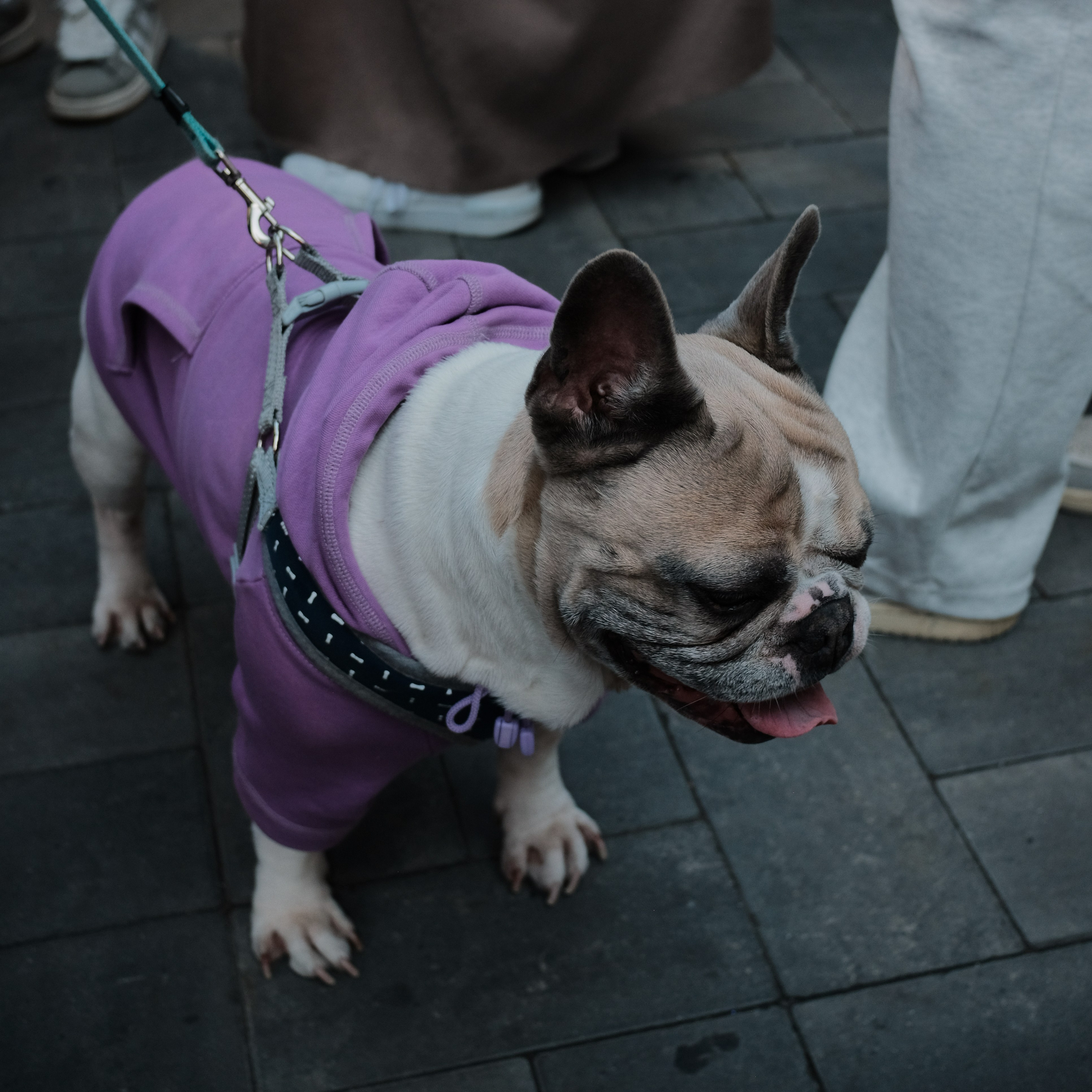 Rostov-on-Don. Creative travel photographer — Berg Daria