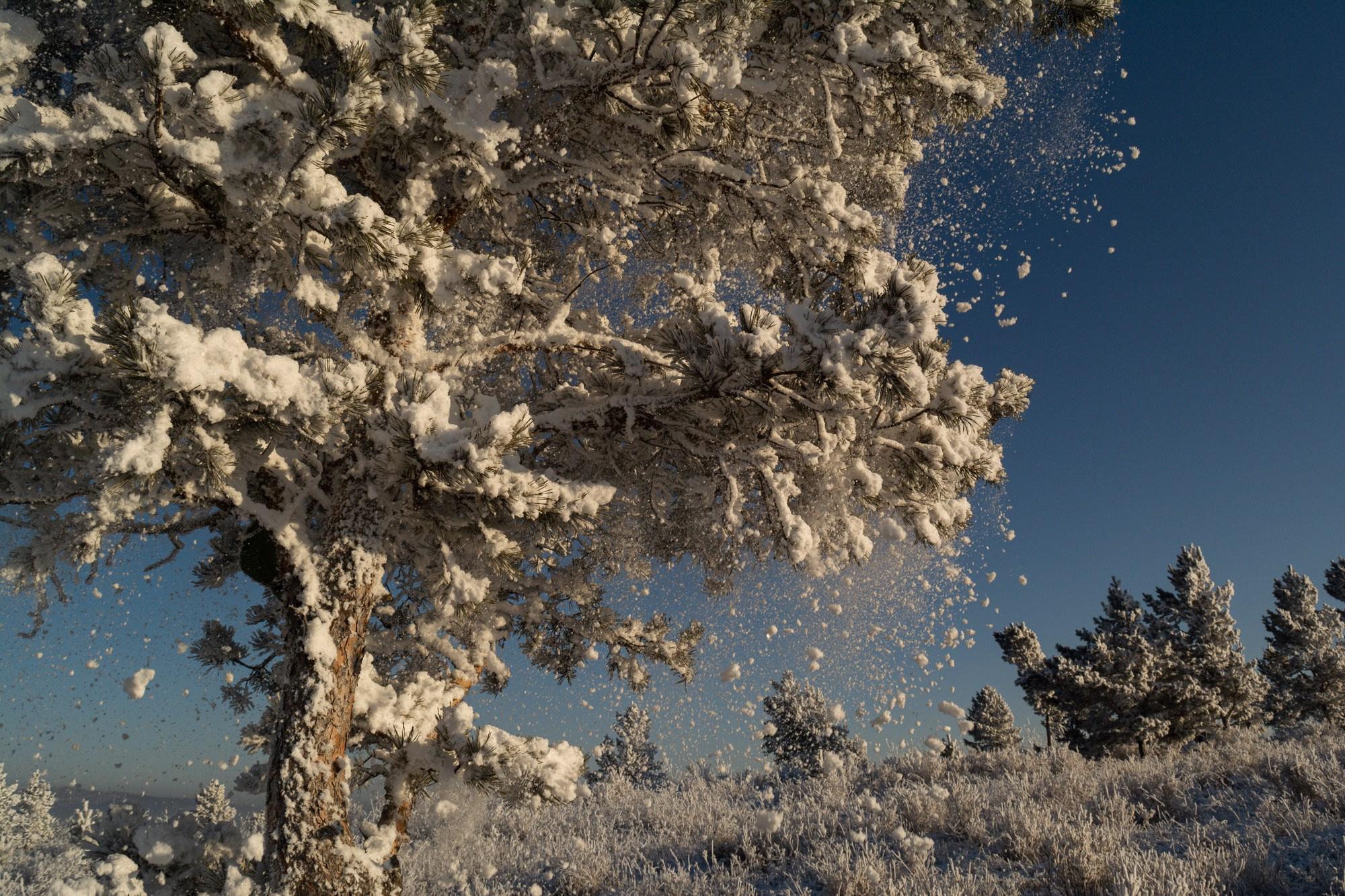 Разное. Репортажный фотограф г. Чита