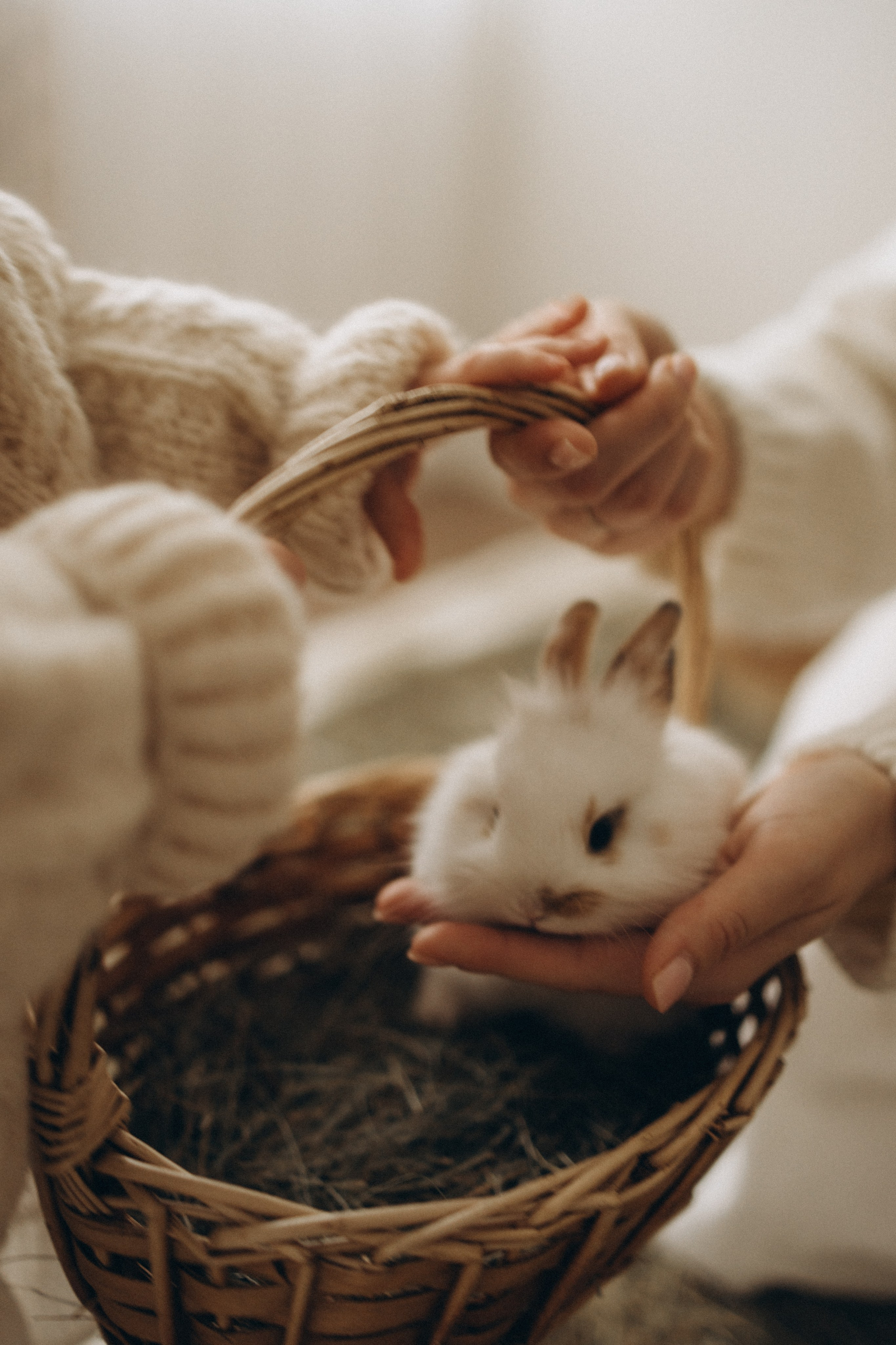 Пасхальная история. Фотограф в Иваново и Суздале