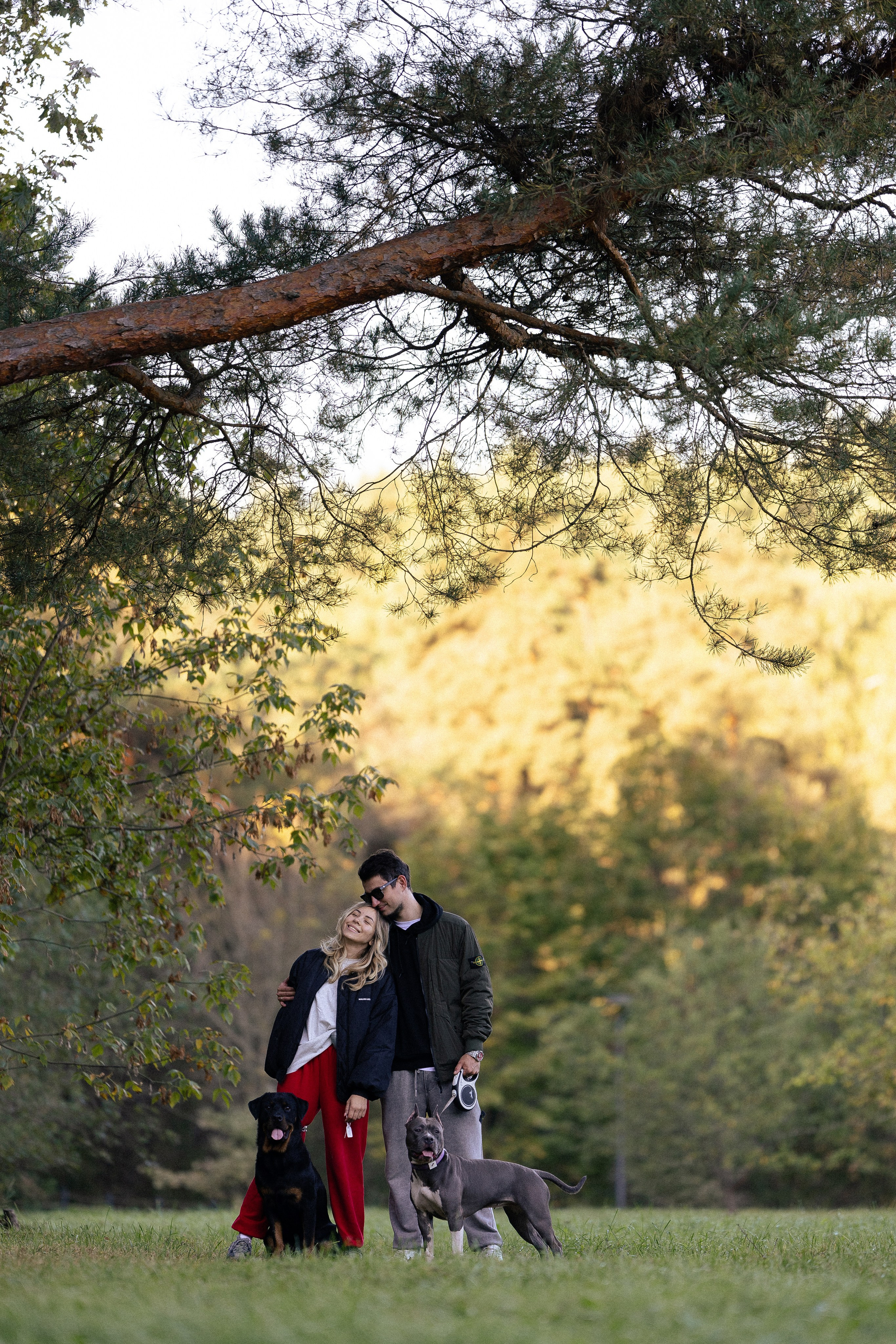 Катя, Леша, Лея и Трой. Фотограф и видеограф анималист Аганина Дарья