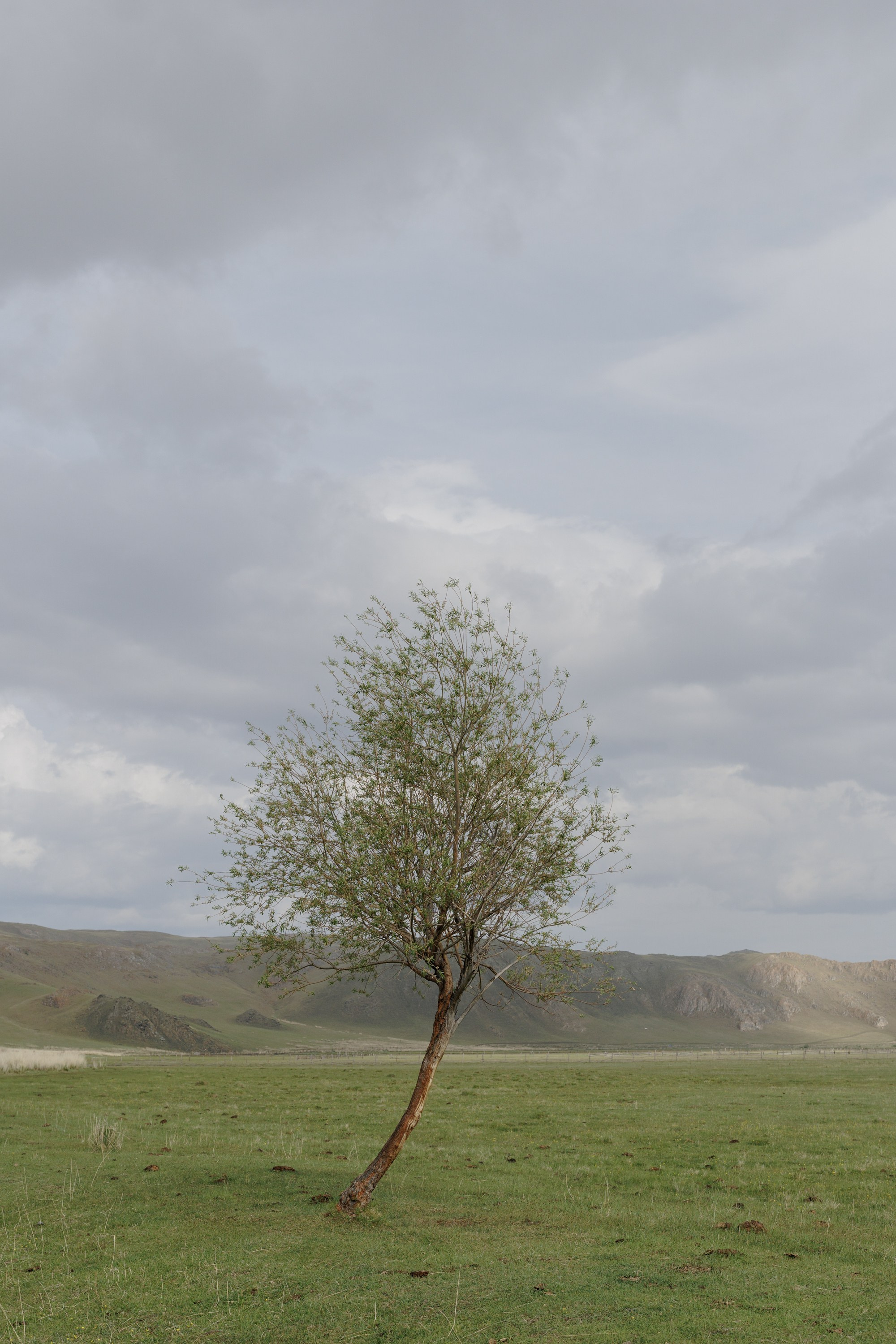 Касание. Фотограф Иркутск