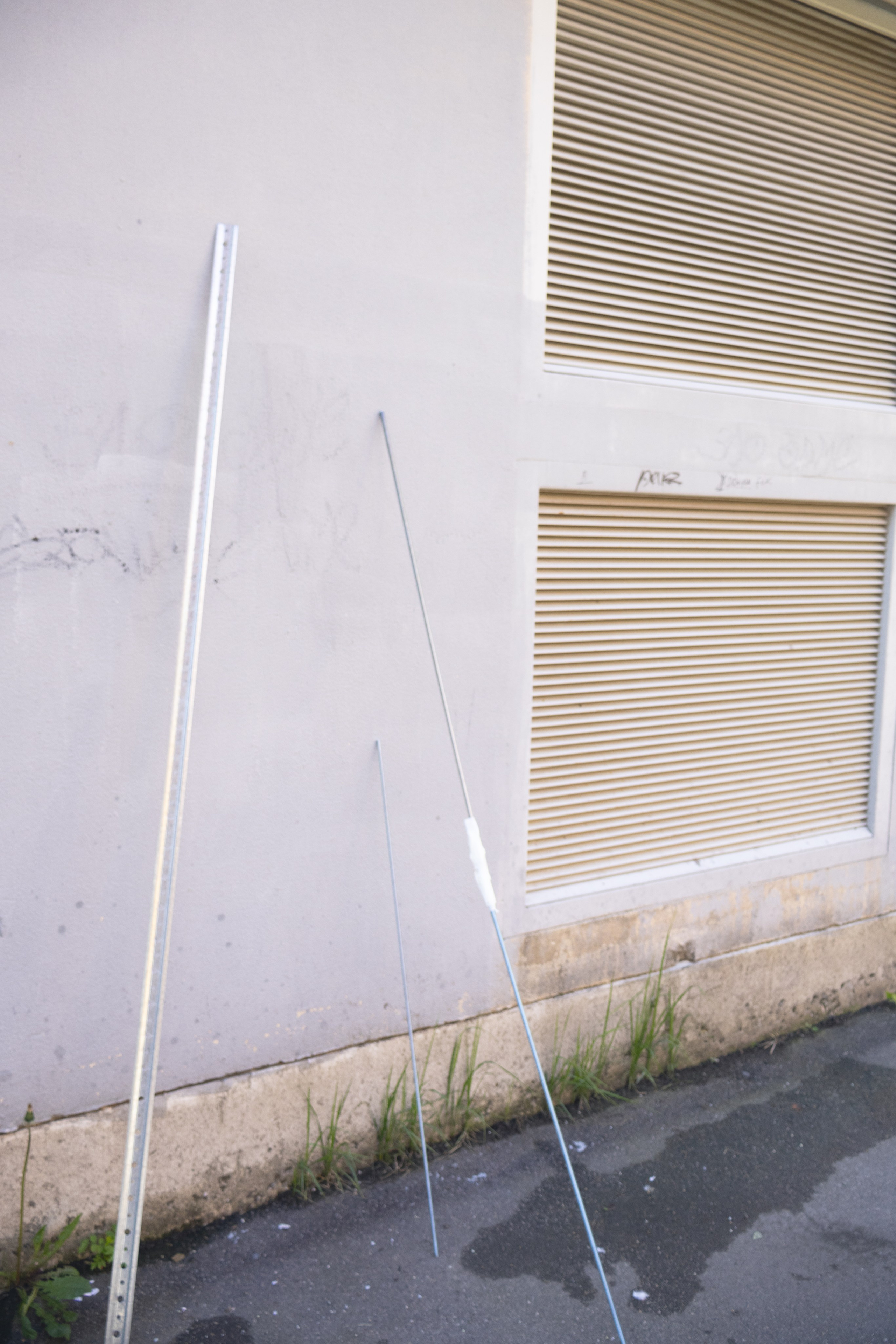 Art direction & Design | Curiosa