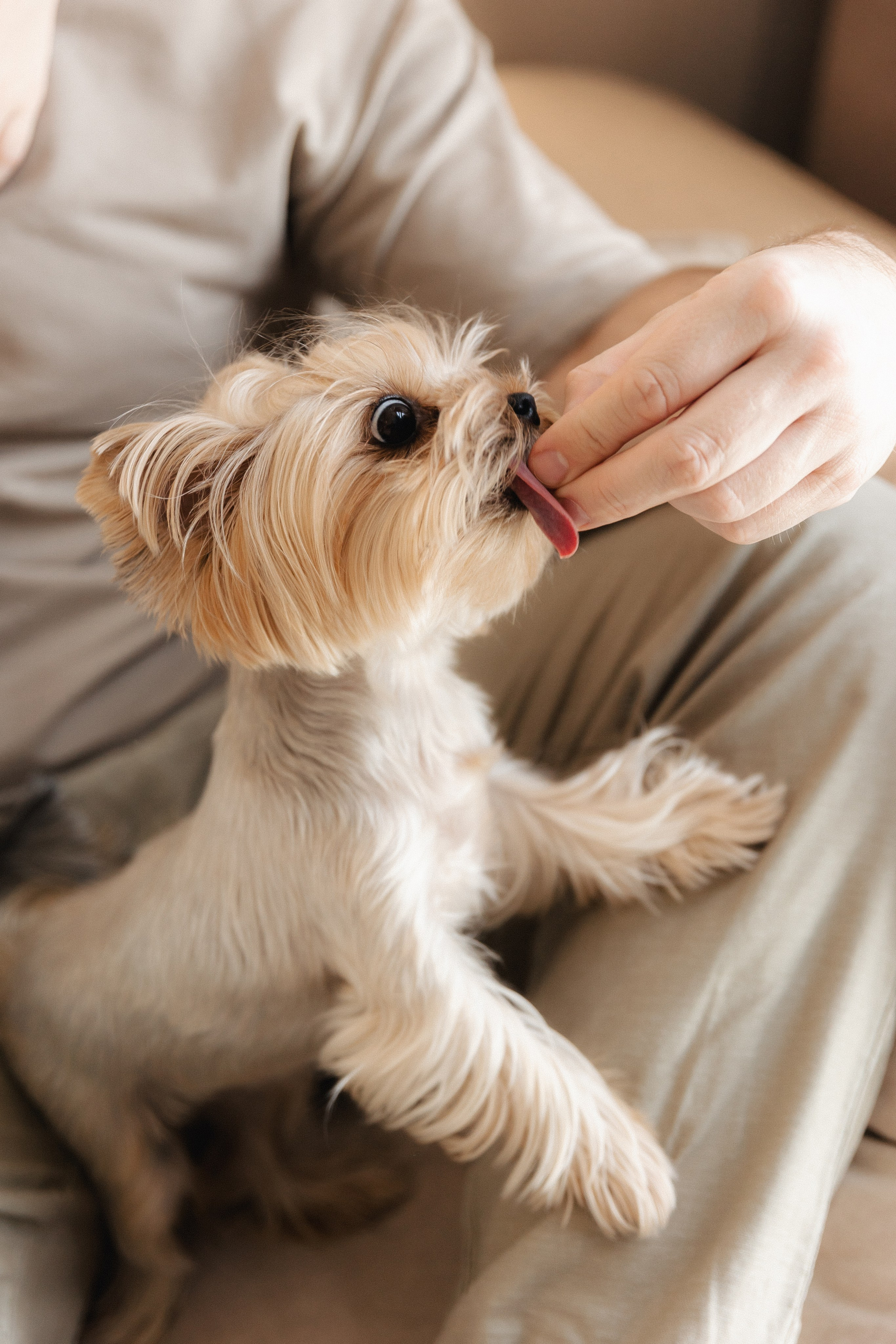 Портфолио//FAMILY. Фотограф Тюмень Пушковская Кристина