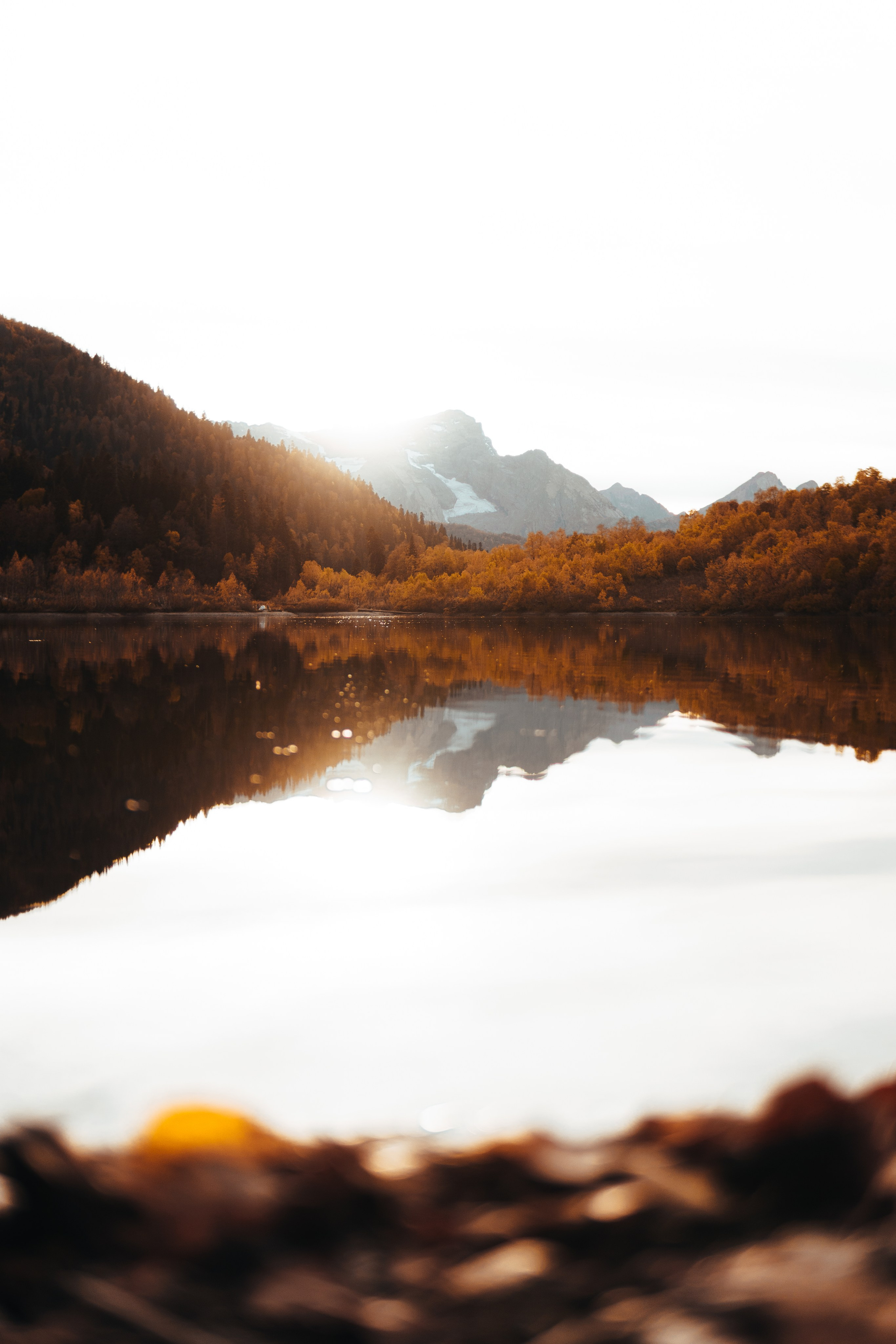 КАРДЫВАЧ. Фотограф на Кавказе