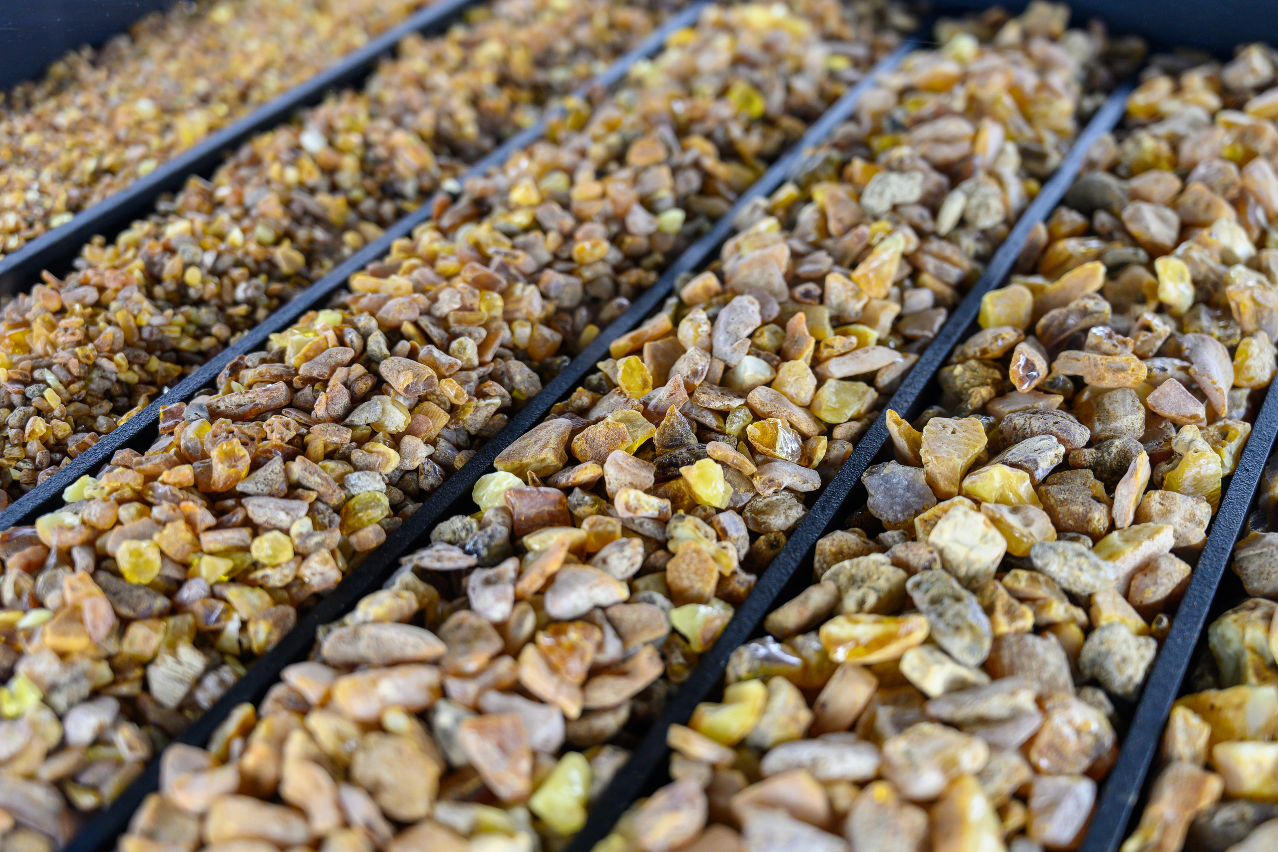 Музей янтаря на Арбате. Фотограф Андрей Зикеев, фотостудия AzArt Studio в Москве