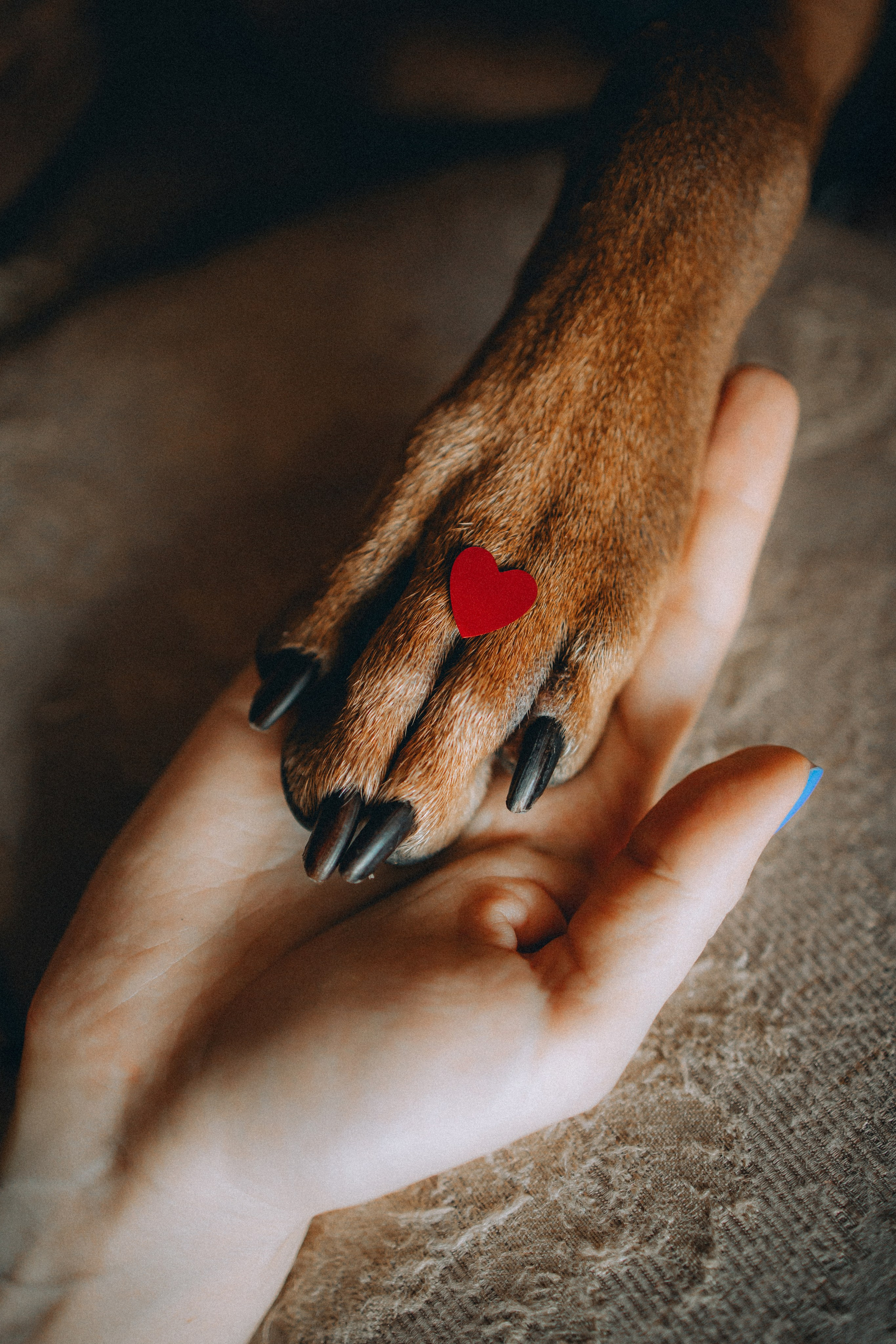 Оксана и Зевс