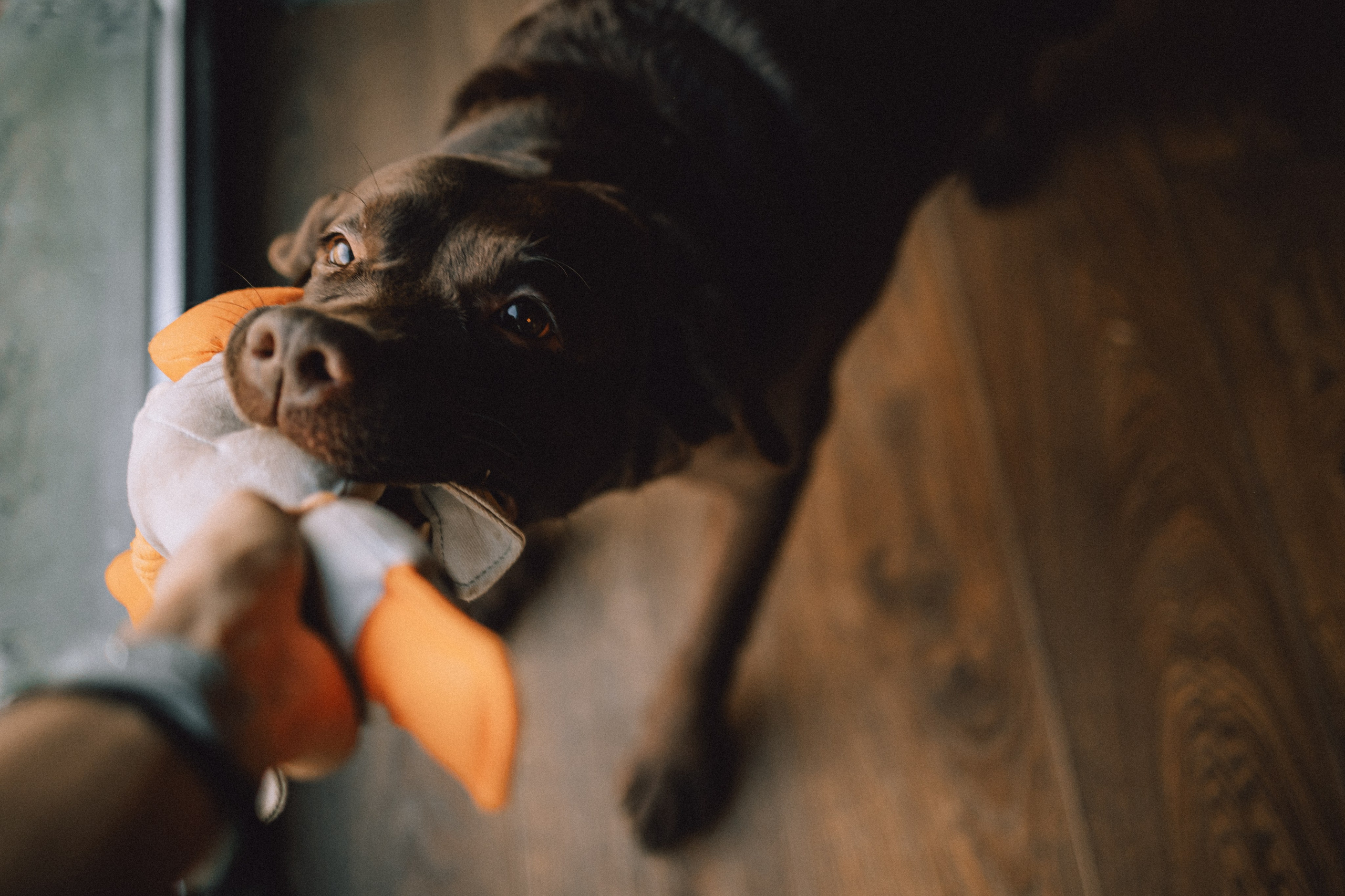 Ума, Берта и их семья