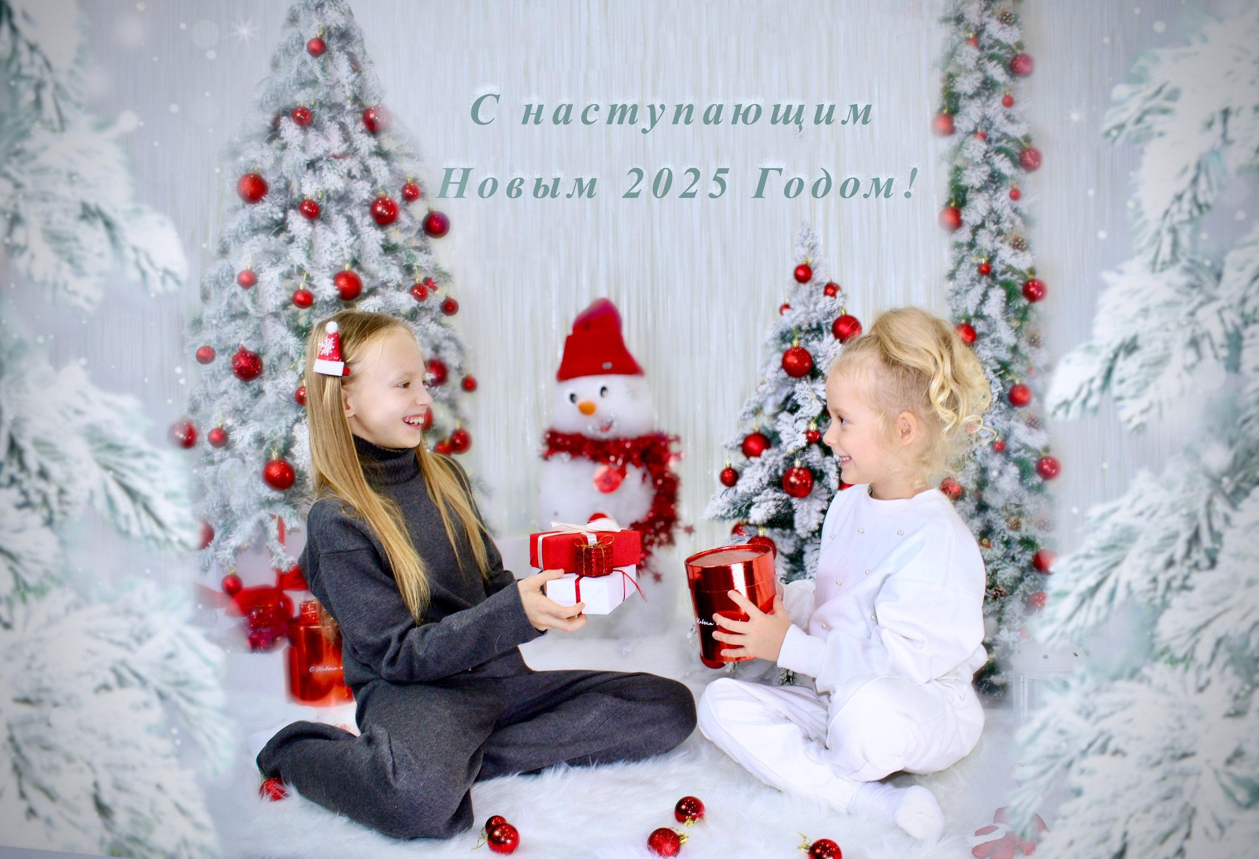 Новогодняя фотосессия. Портфолио