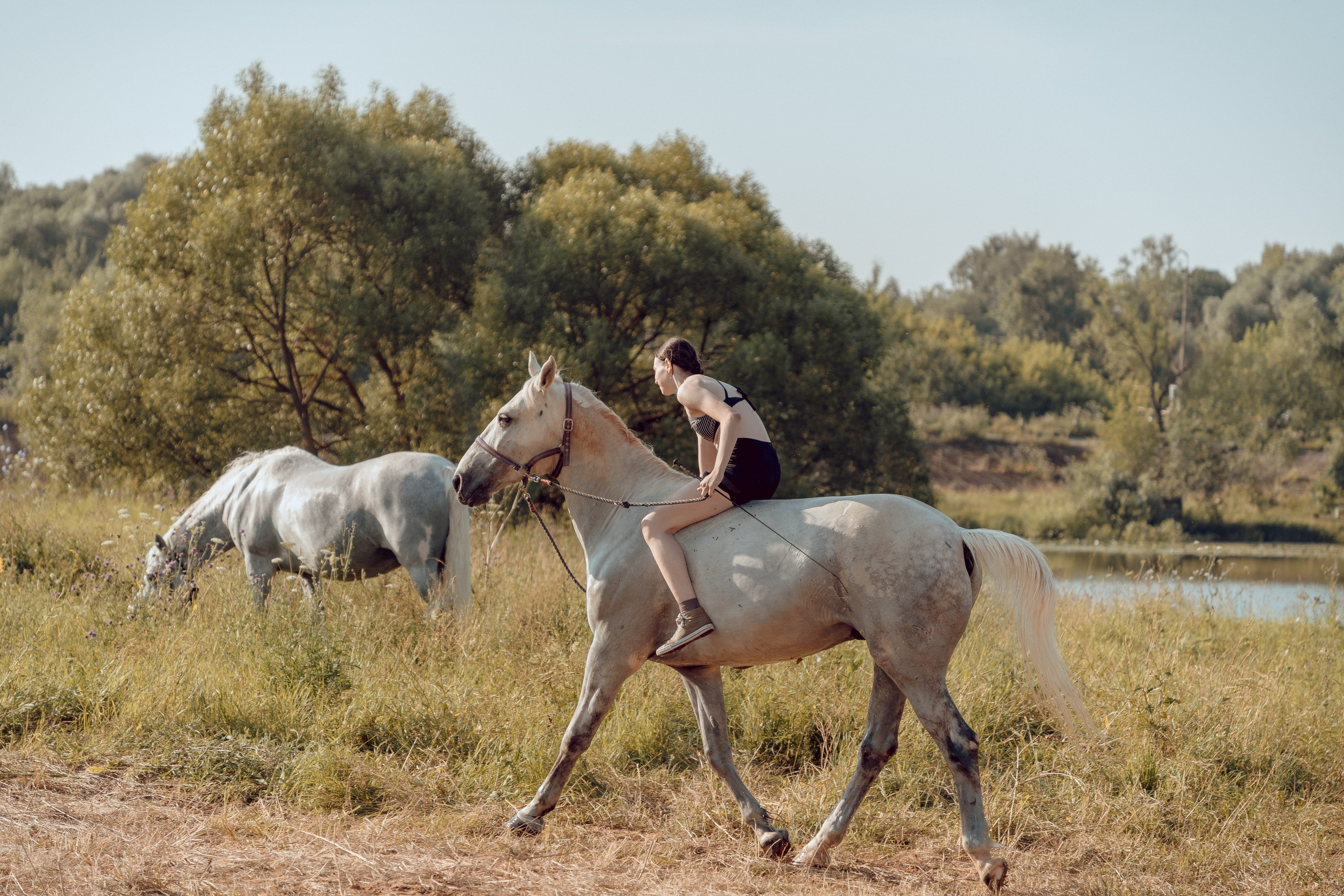 Купание лошадей 05.07.2024. Портретный и семейный фотограф в Москве/Видное