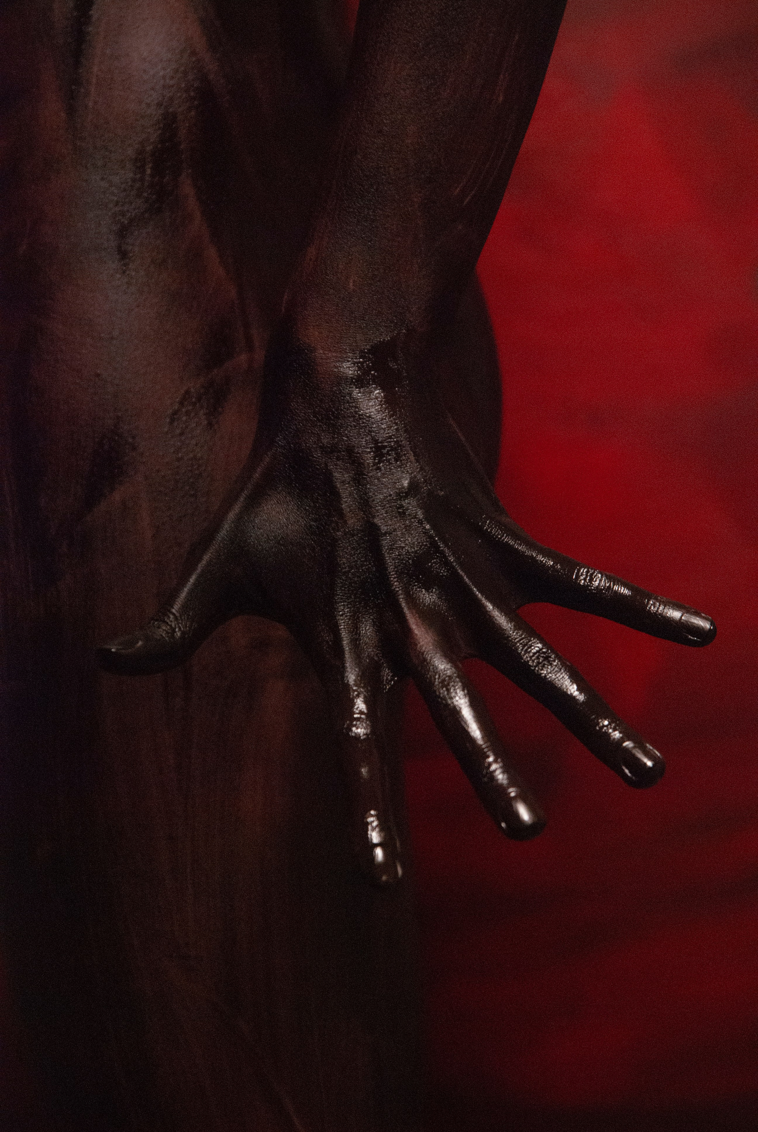 Краски, руки, силуэты. Творческий фотограф Ирина Баландина.  Санкт-Петербург, Мурманск