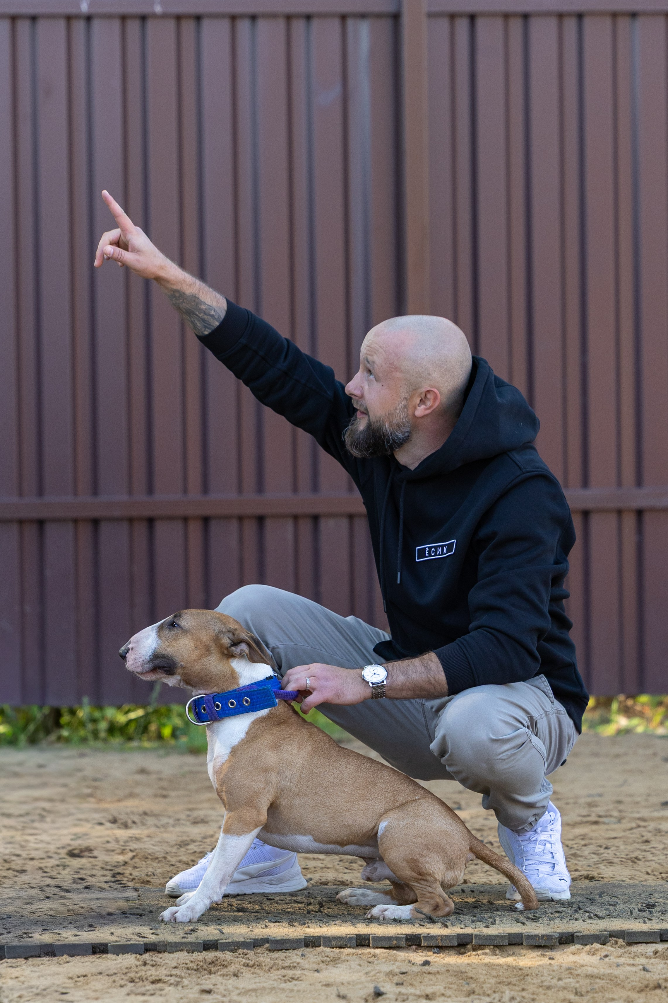 Jump'n'Gym. Виктория Михайловская. Фотограф-анималист. Москва