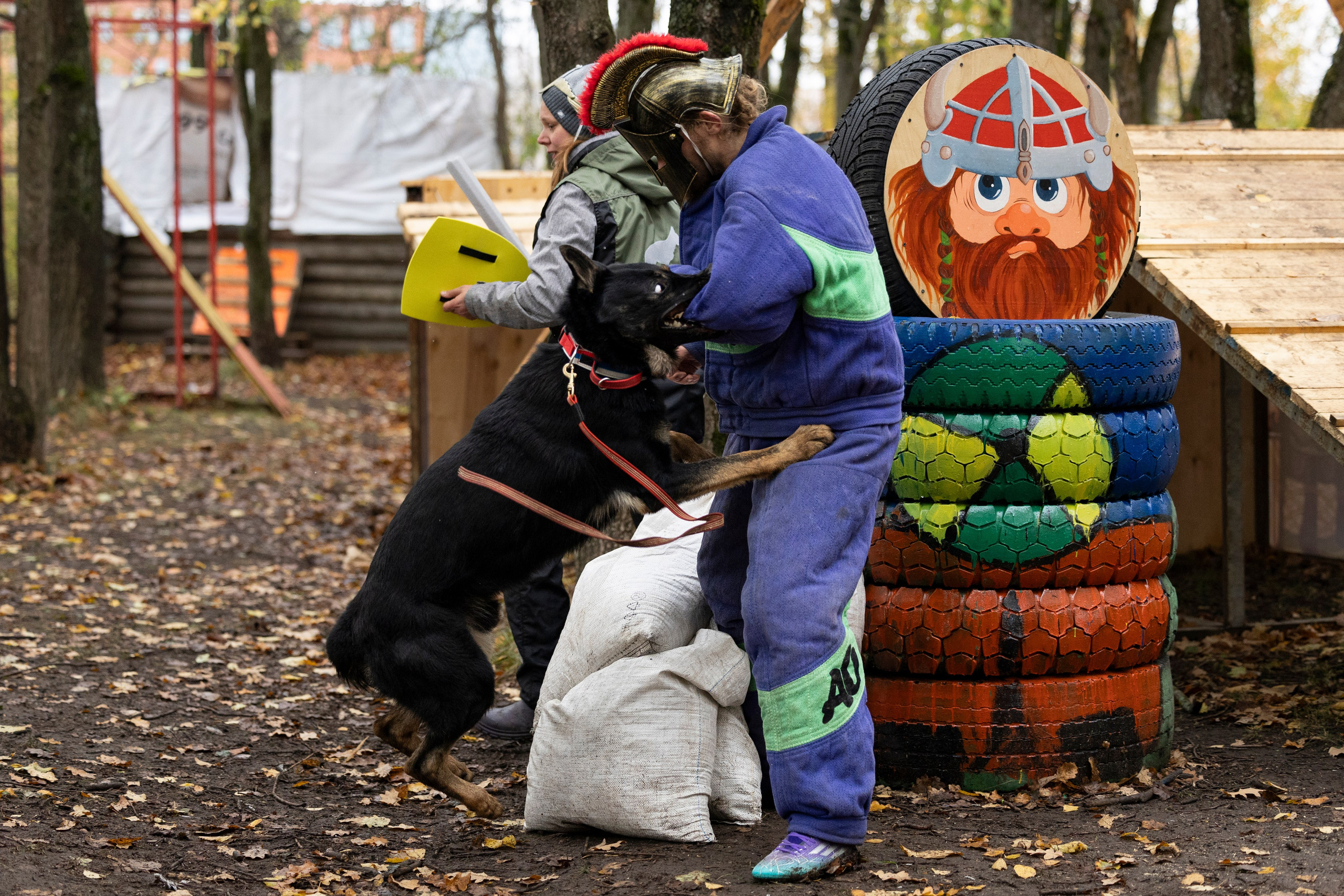 Соревнования по Мондьорингу г. Вологда. Фотограф-анималист Анна Маринич