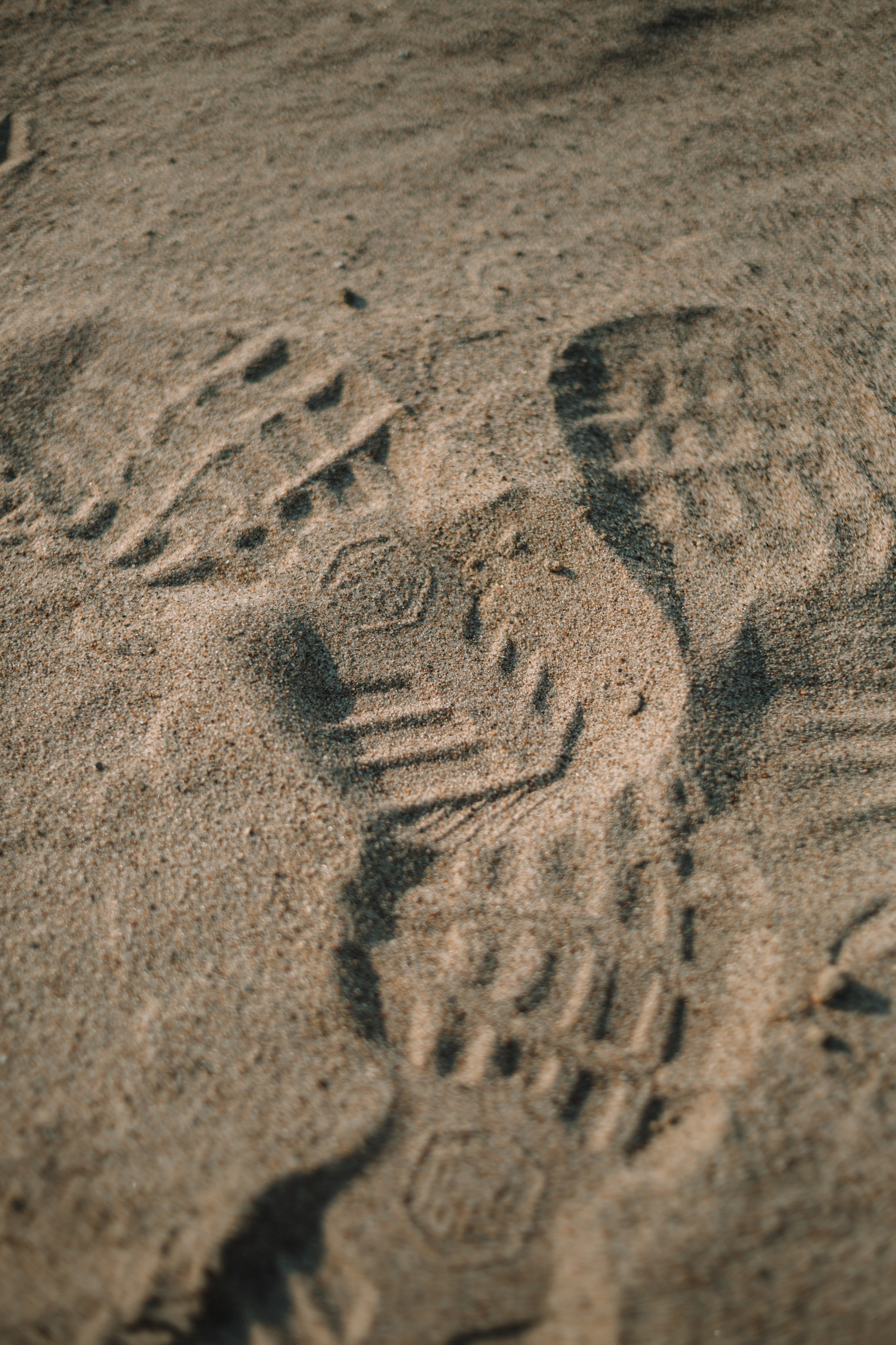 Фотограф Олеся Кавлакан