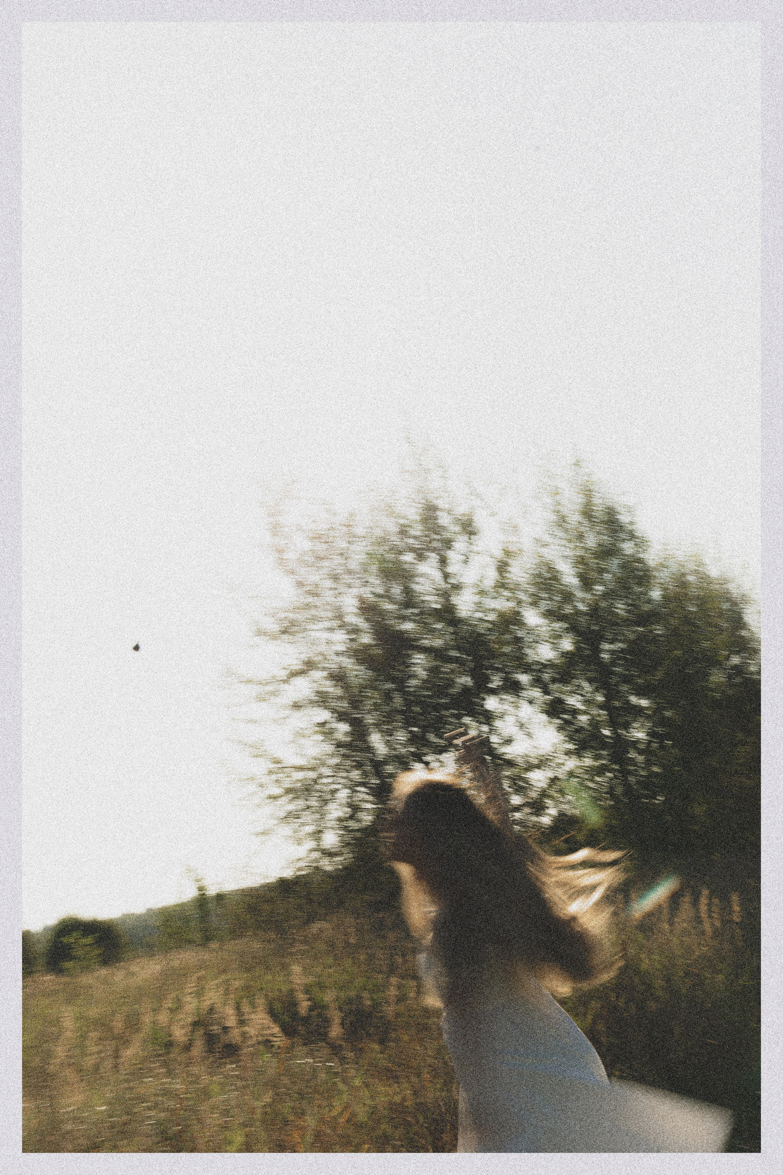 Ирис. Фотограф Милованова Александра