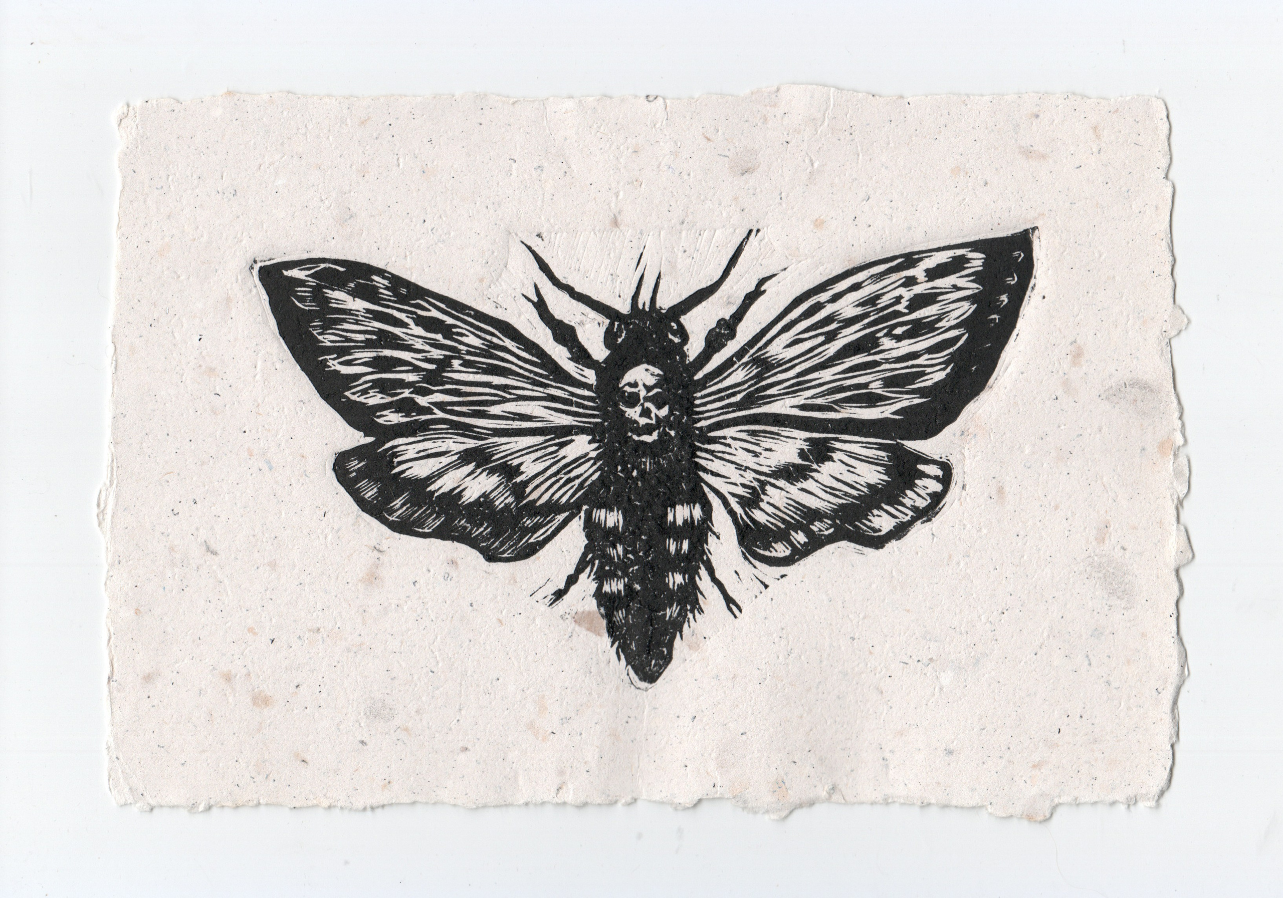 Гравюры. Фотография Стремского