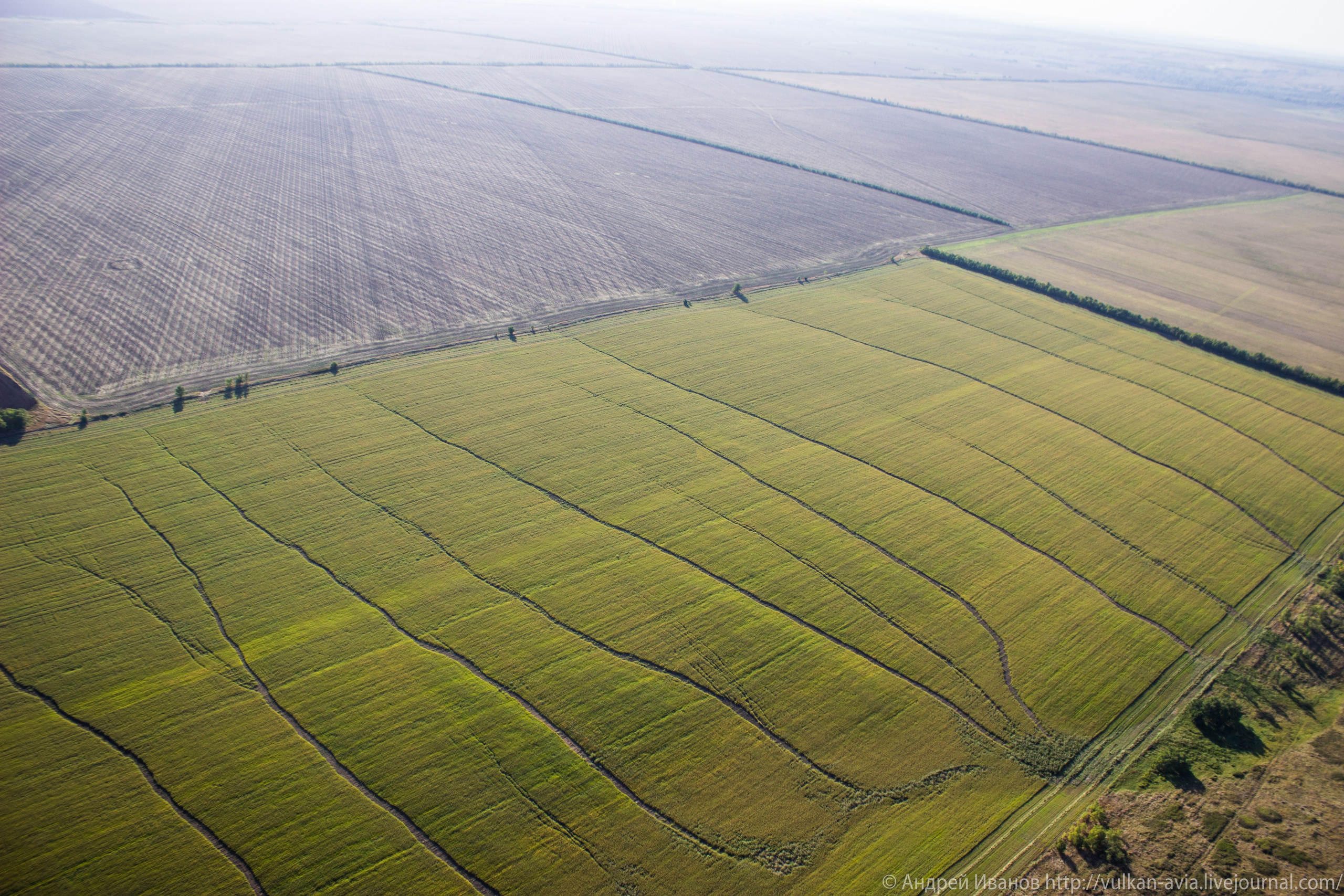 Волгодонск аэр. Потапов слёт «Небо для всех» (2021 г.). Фотоальбом показывающий увлекательный мир авиации и мир медведей Андрея Иванова