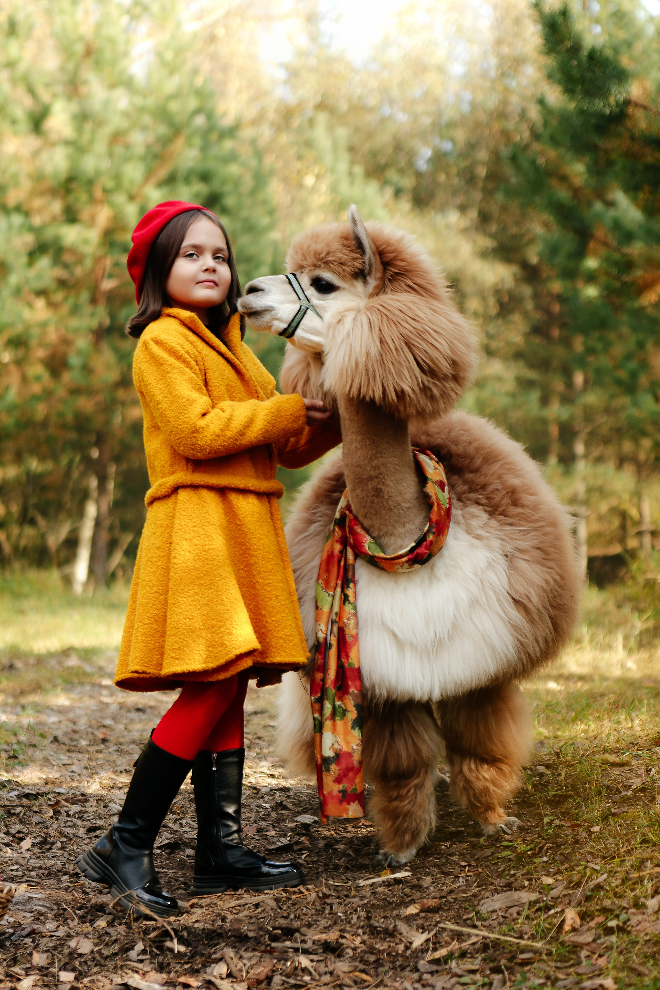 Альпаки. Семейный и детский фотограф в Москве Александра Мак