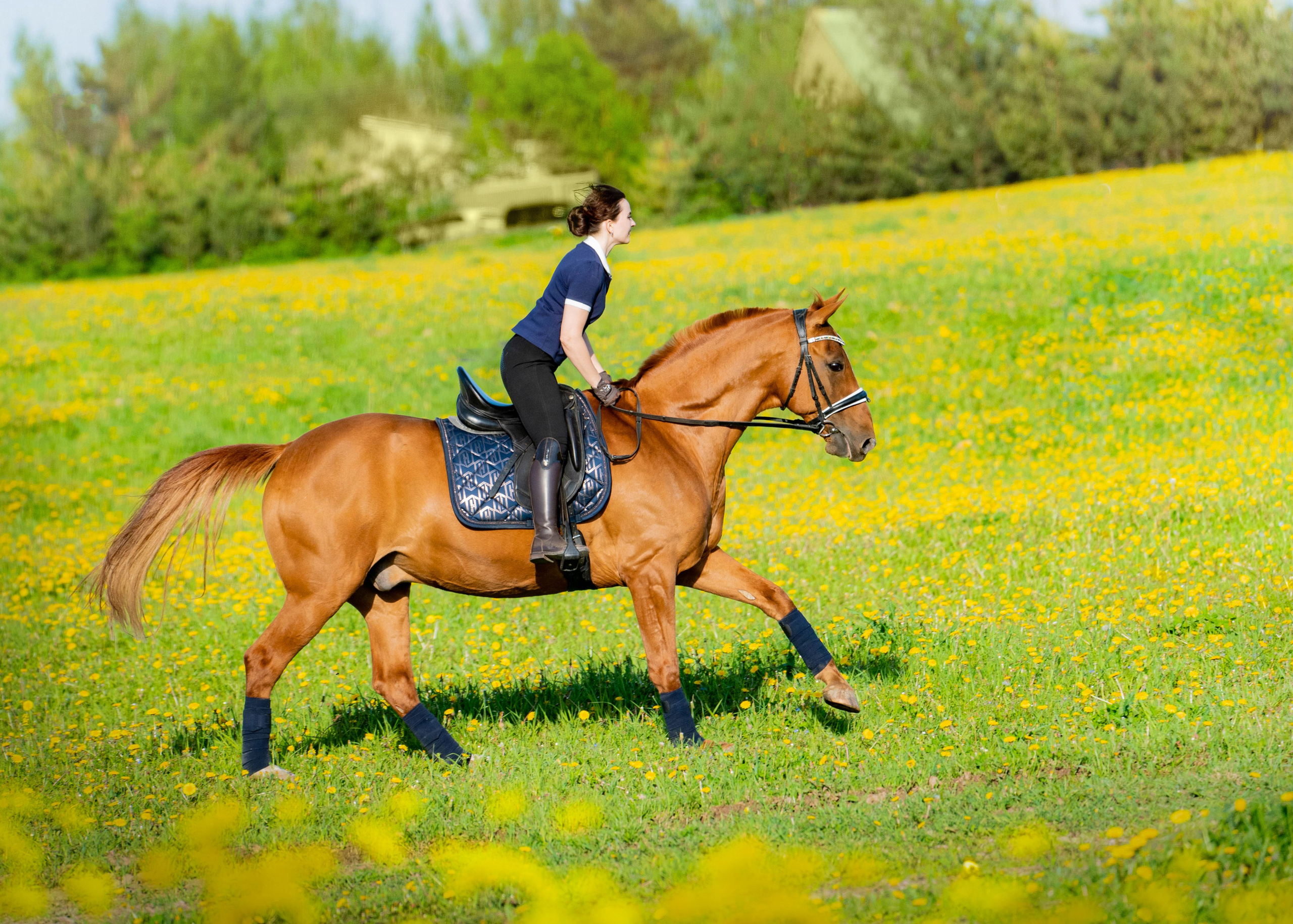 Тренировка. Фотограф Дарья Соколовская