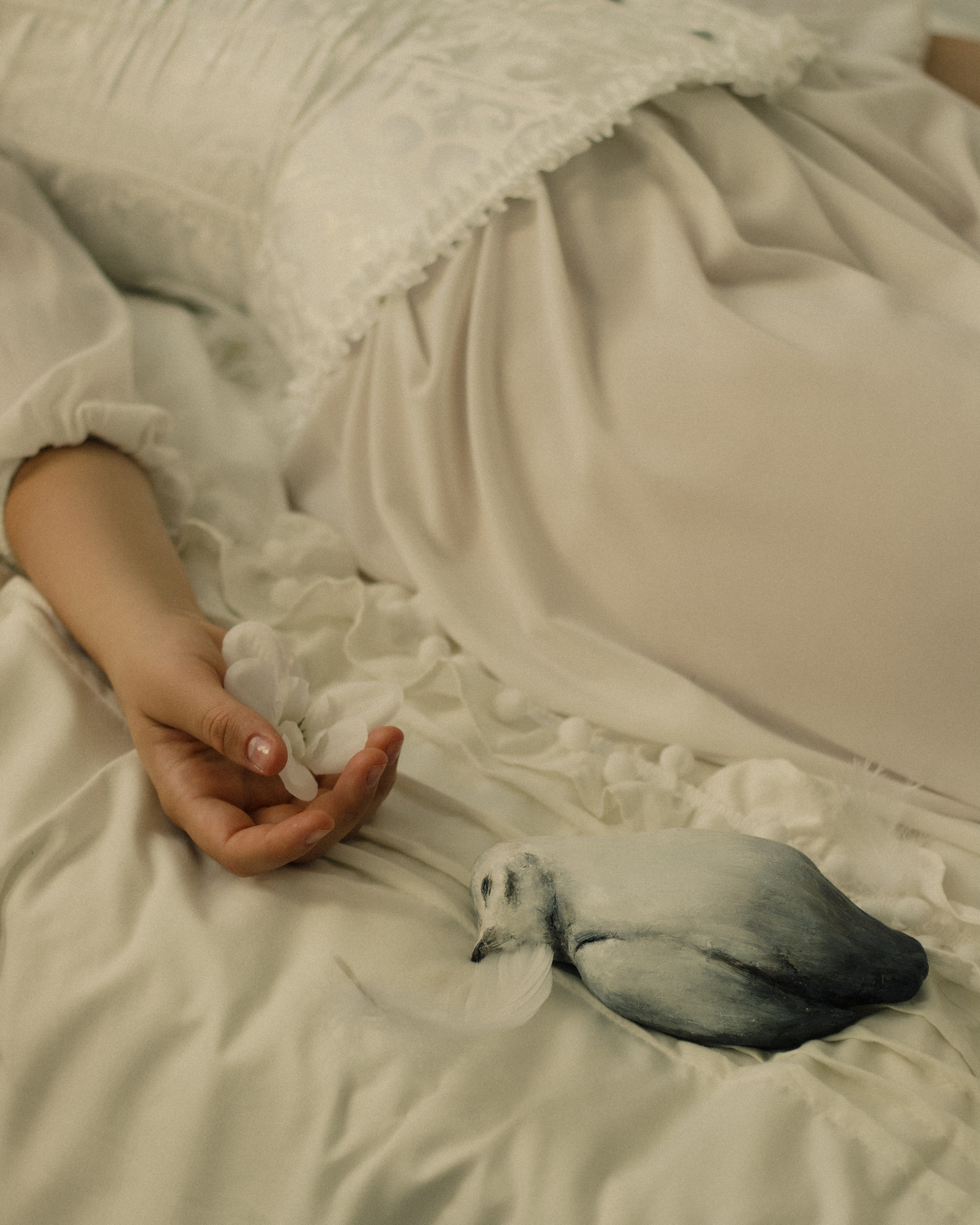 Birds. Блиновская Дарья|Арт-фотограф