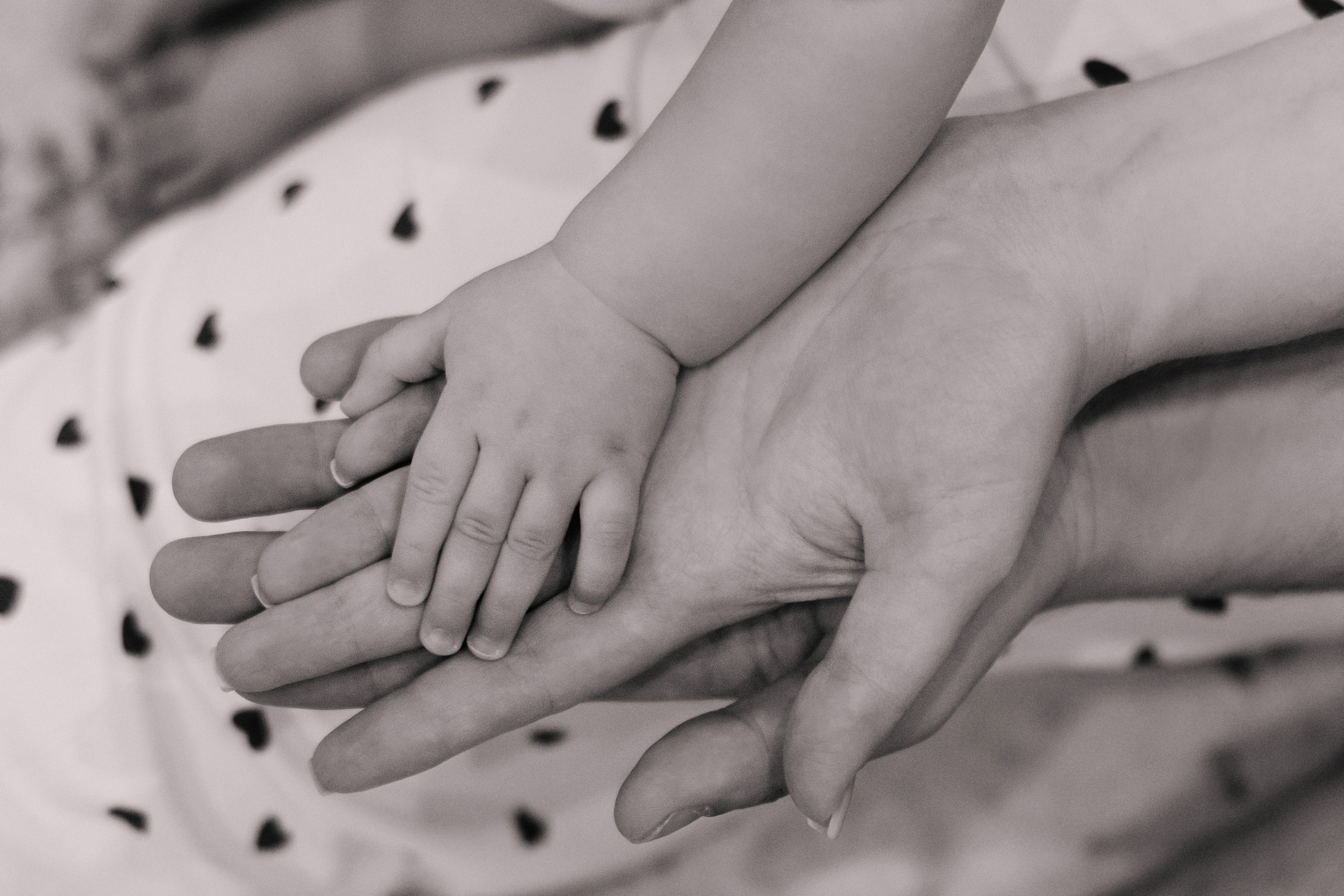 Семья Ерещенко. Домашняя съемка. Фотограф в Челябинске Любовь Денисенко