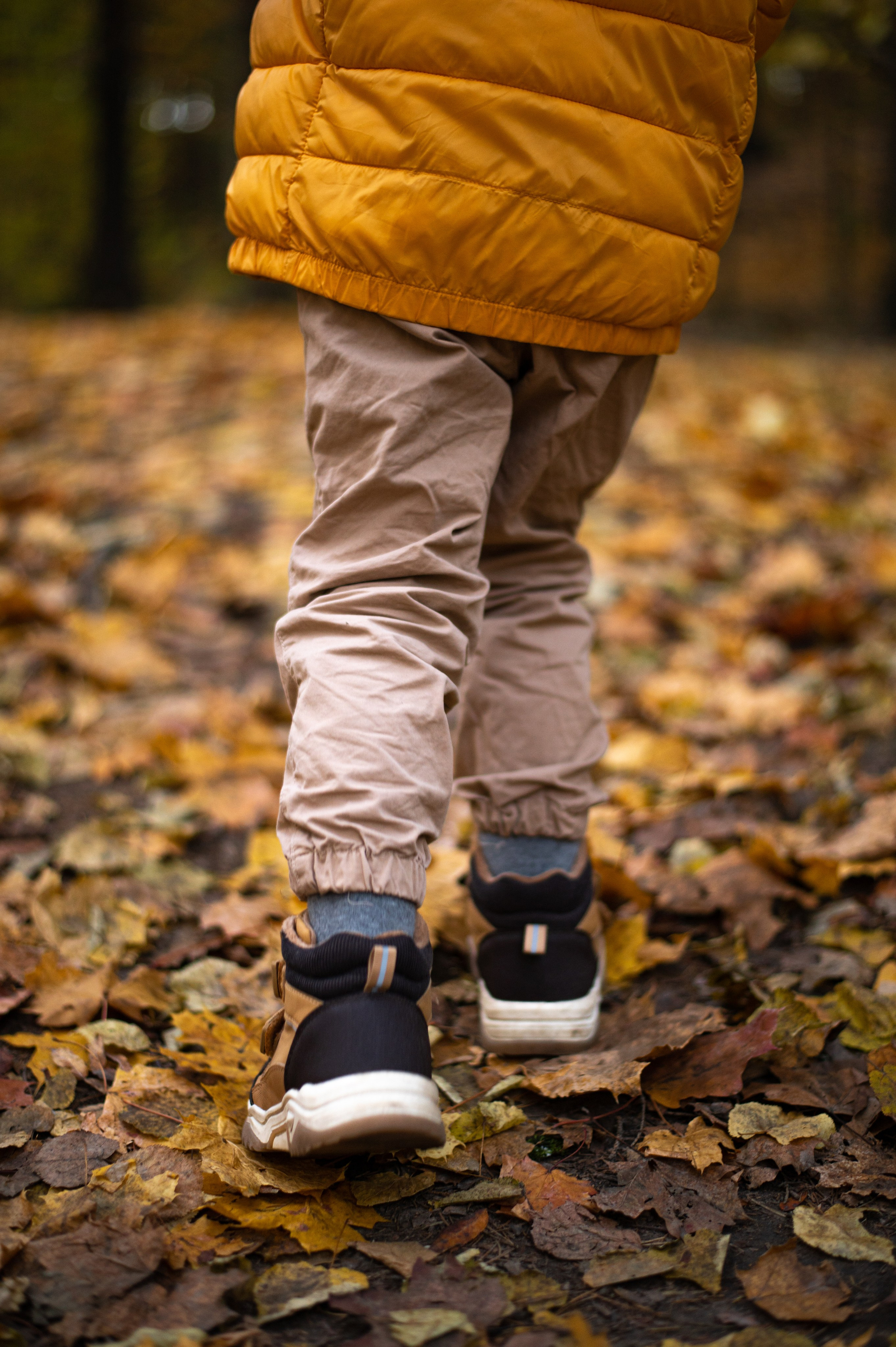 Осень в Шуваловском парке. Фотограф Санкт-Петербург | Дарья Першина