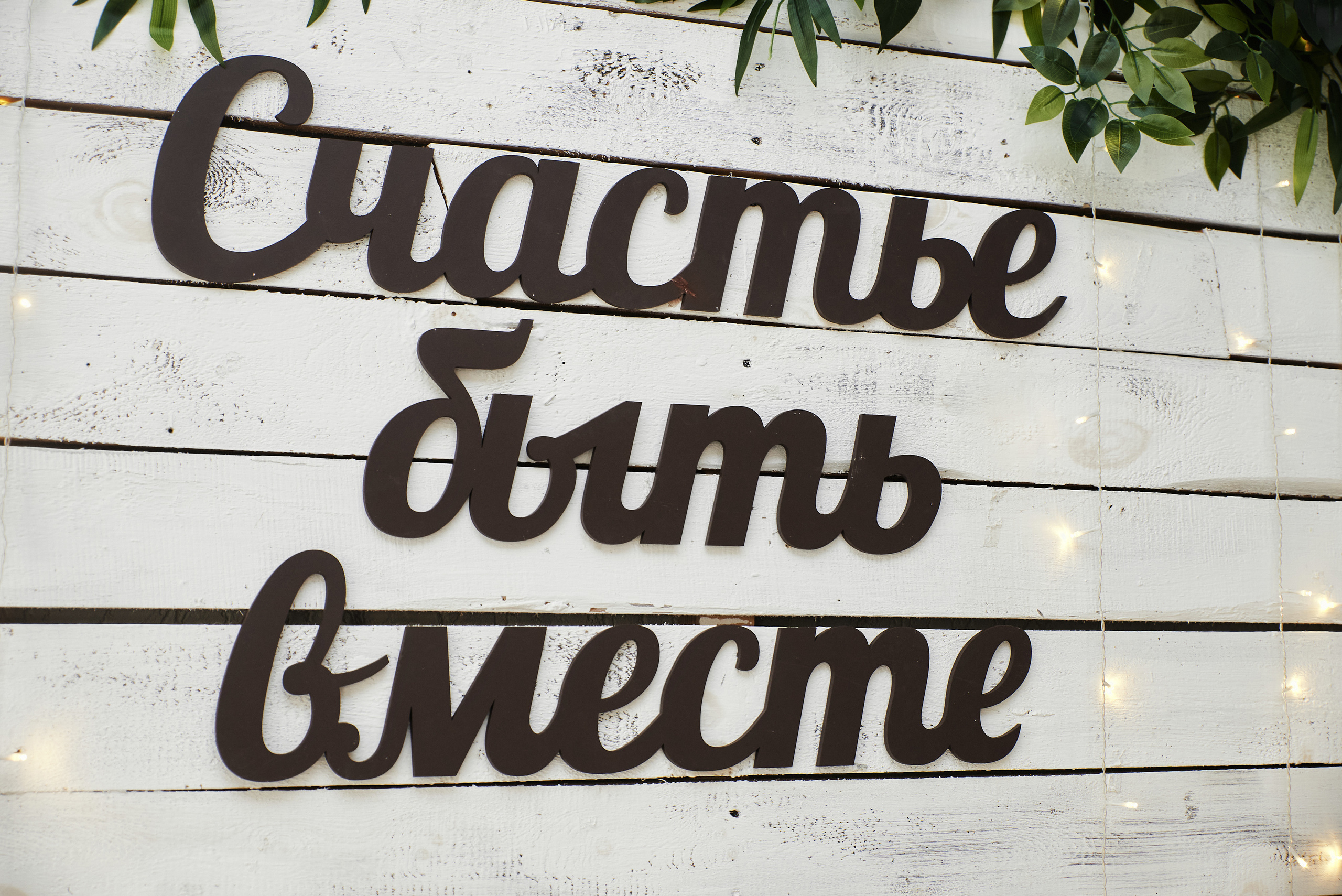 Светлана и Кирилл