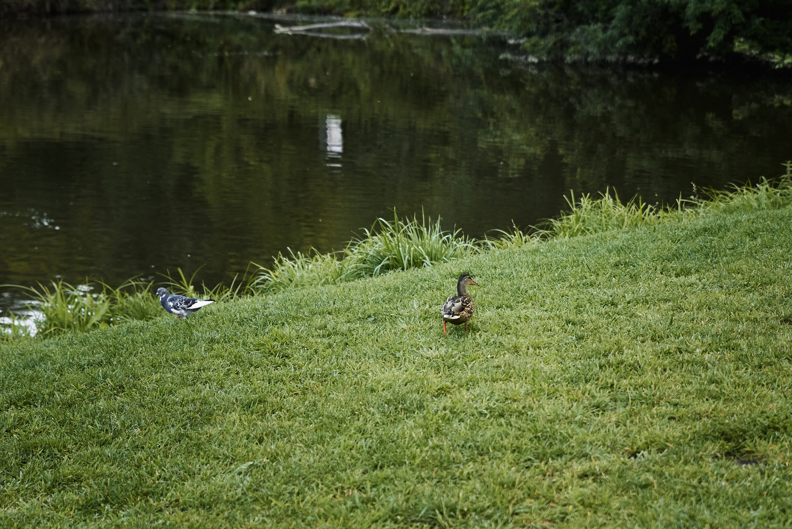 Светлана и Кирилл