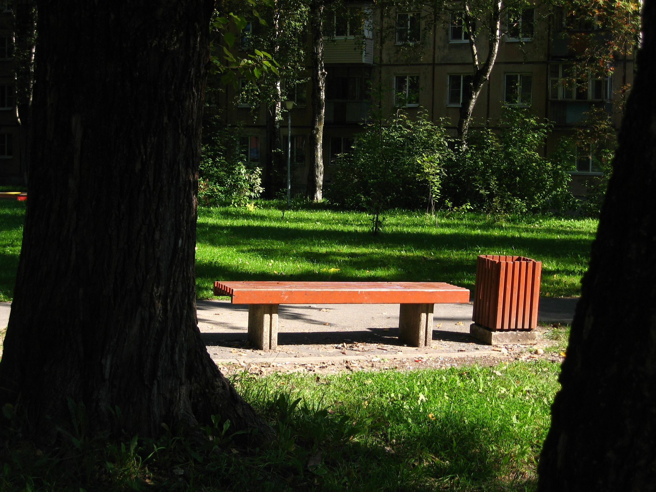 Сентябрь 2025. Den Mirov — Фотограф, Музыкант