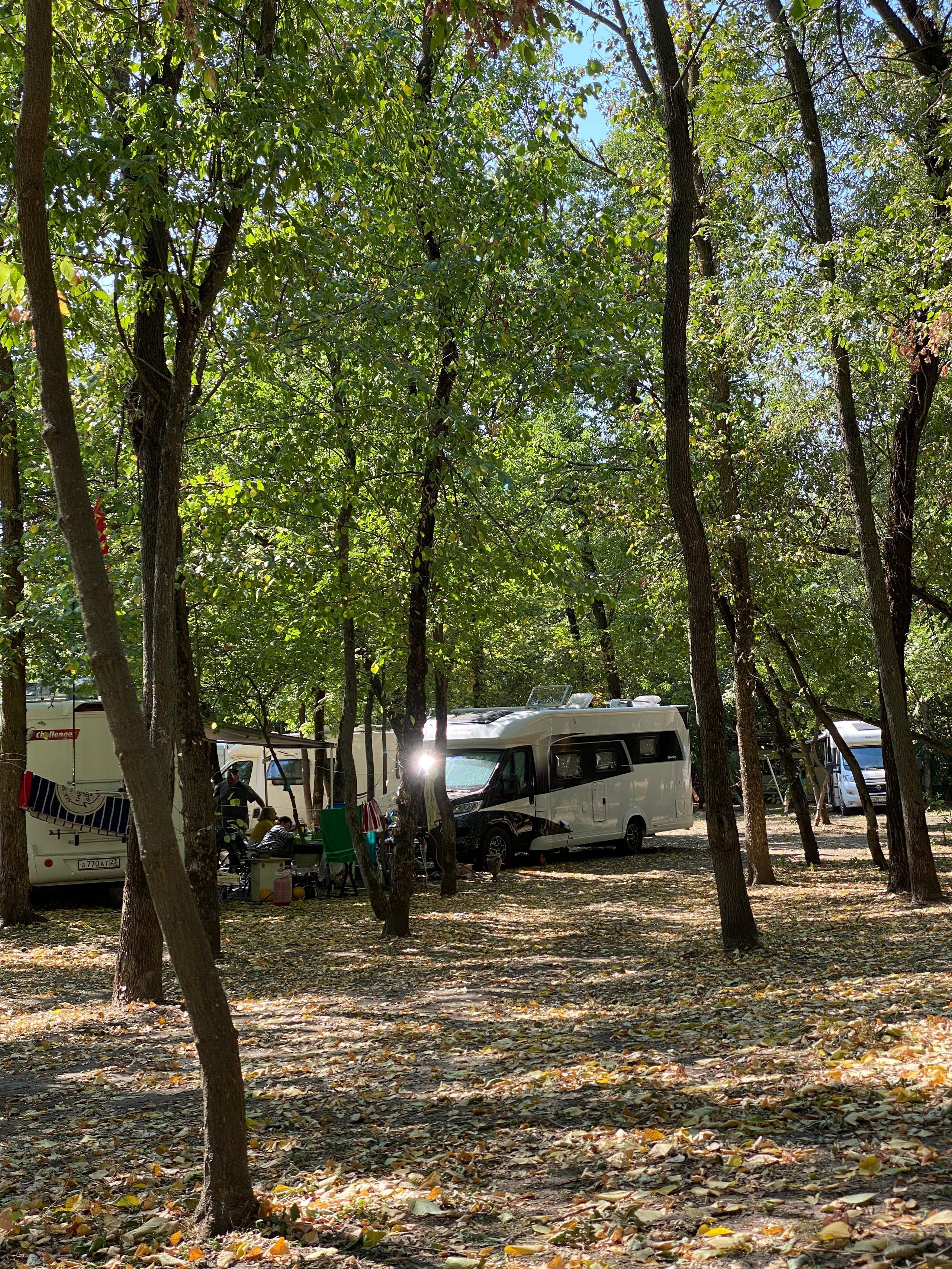 АбунаФест, Камышовый Рай — 20. Своя Мастерская