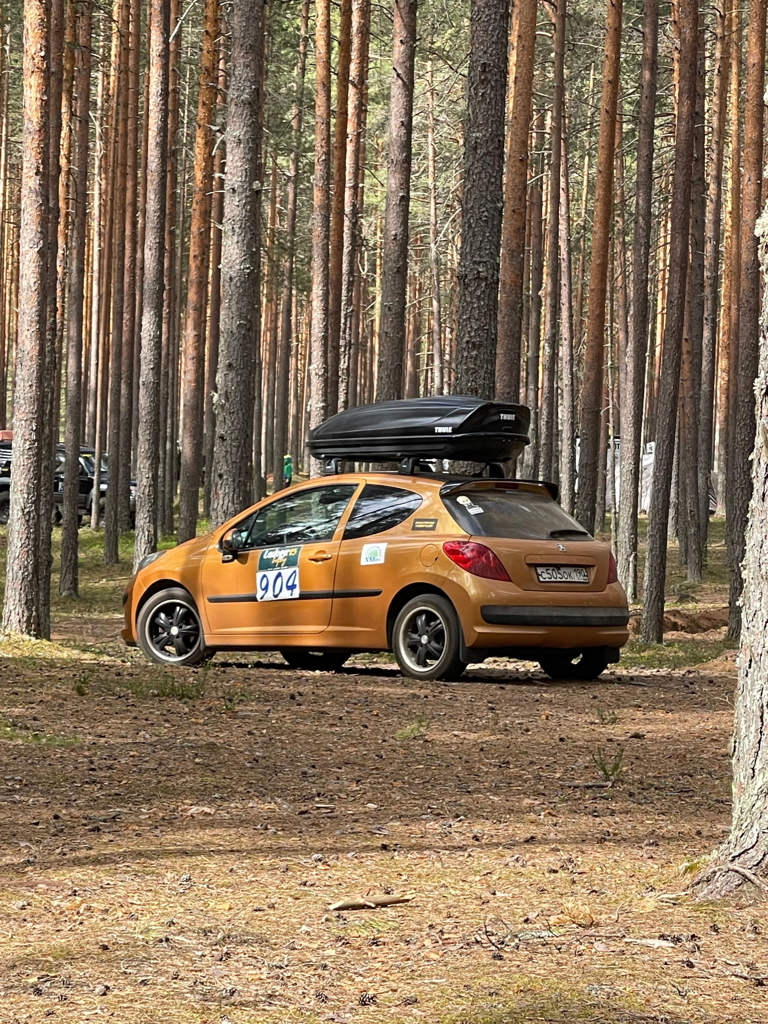 Ладога Трофи. Своя Мастерская