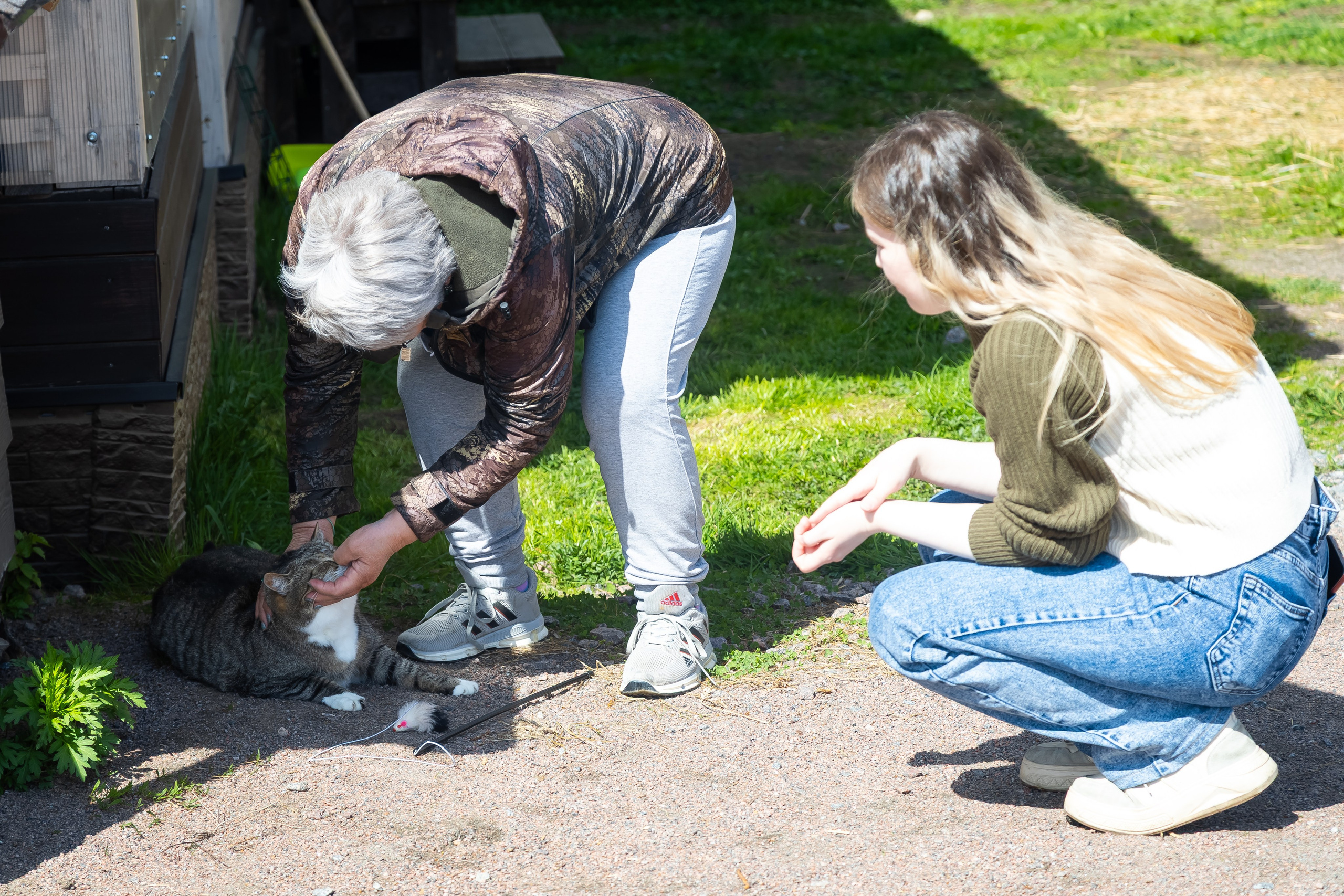 Petshop Забота. Фотограф в Санкт-Петербурге Чумаков Семен