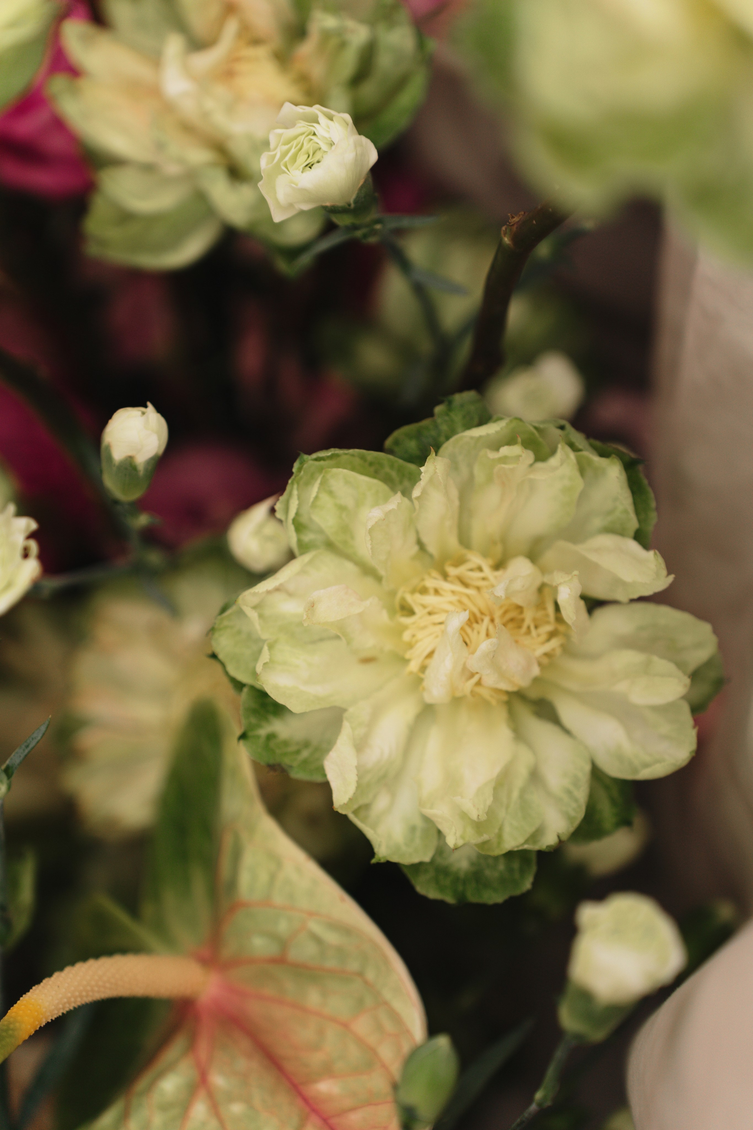 Розовые грёзы| Sugar Velvet. Свадебный и портретный фотограф Алена Седининна в Крыму