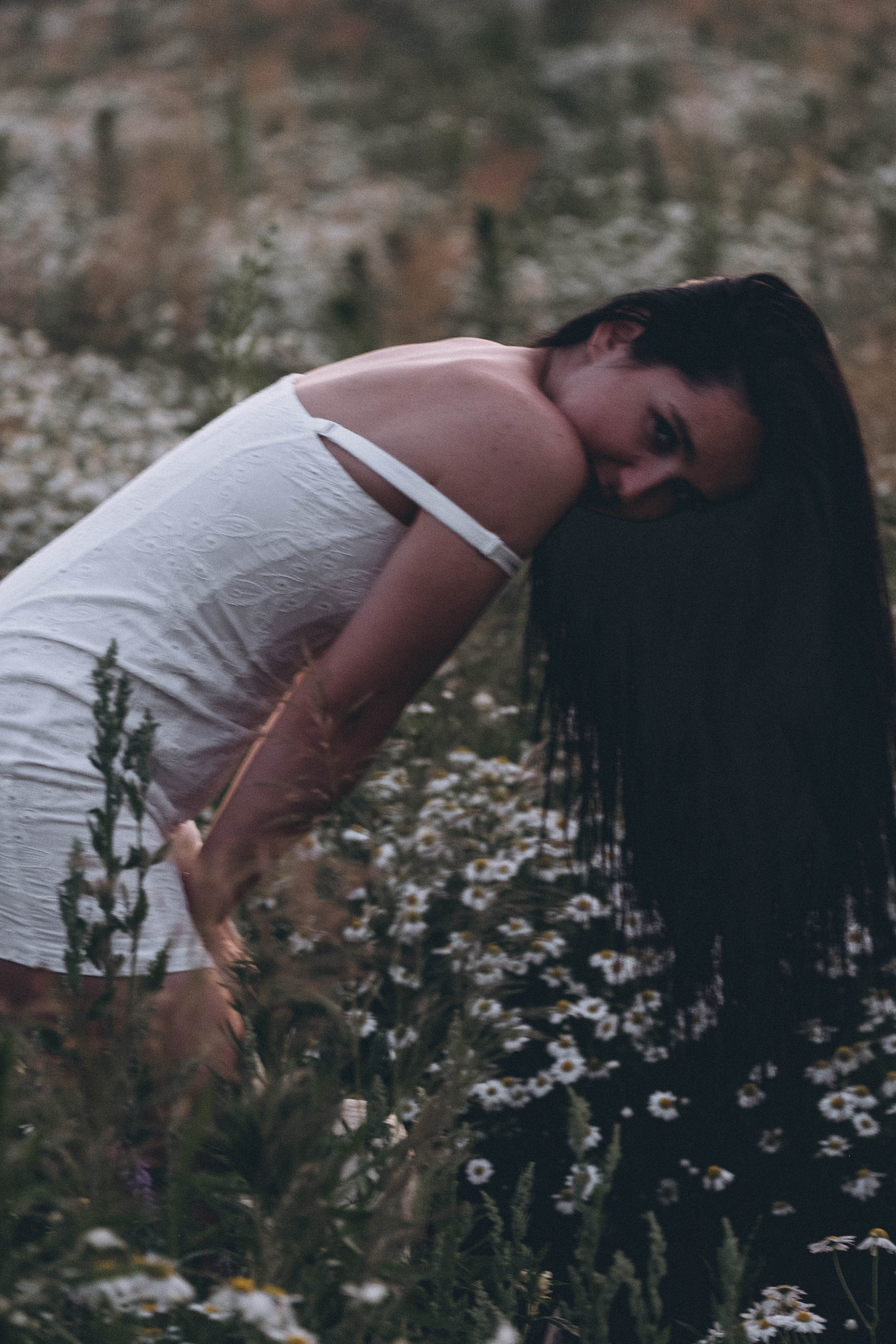 Ромашковое поле. Профессиональный фотограф, Санкт-Петербург — Виктория Богомолова