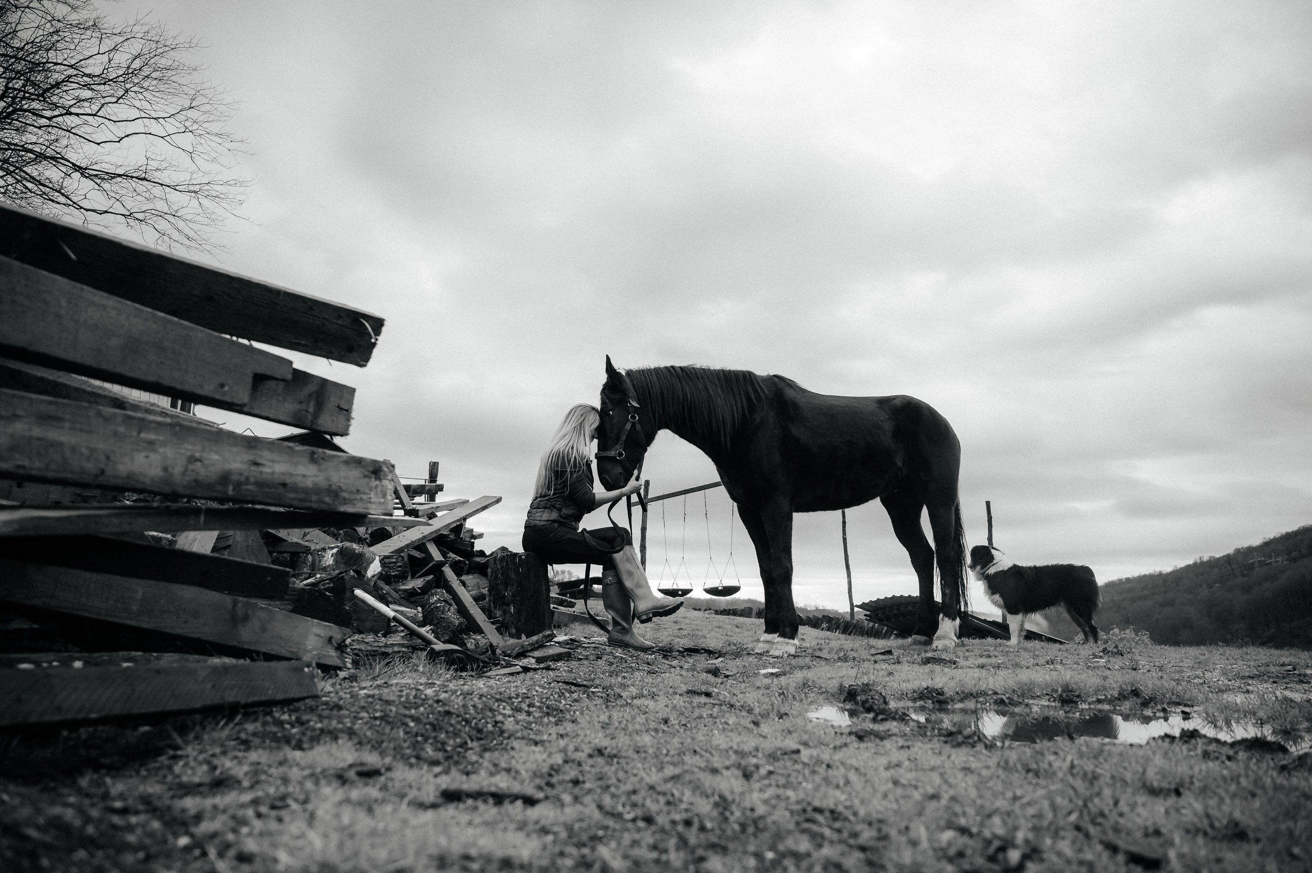 Из Швейцарии на конюшню в Сочи. Фотограф Сергей Суслов | Сочи