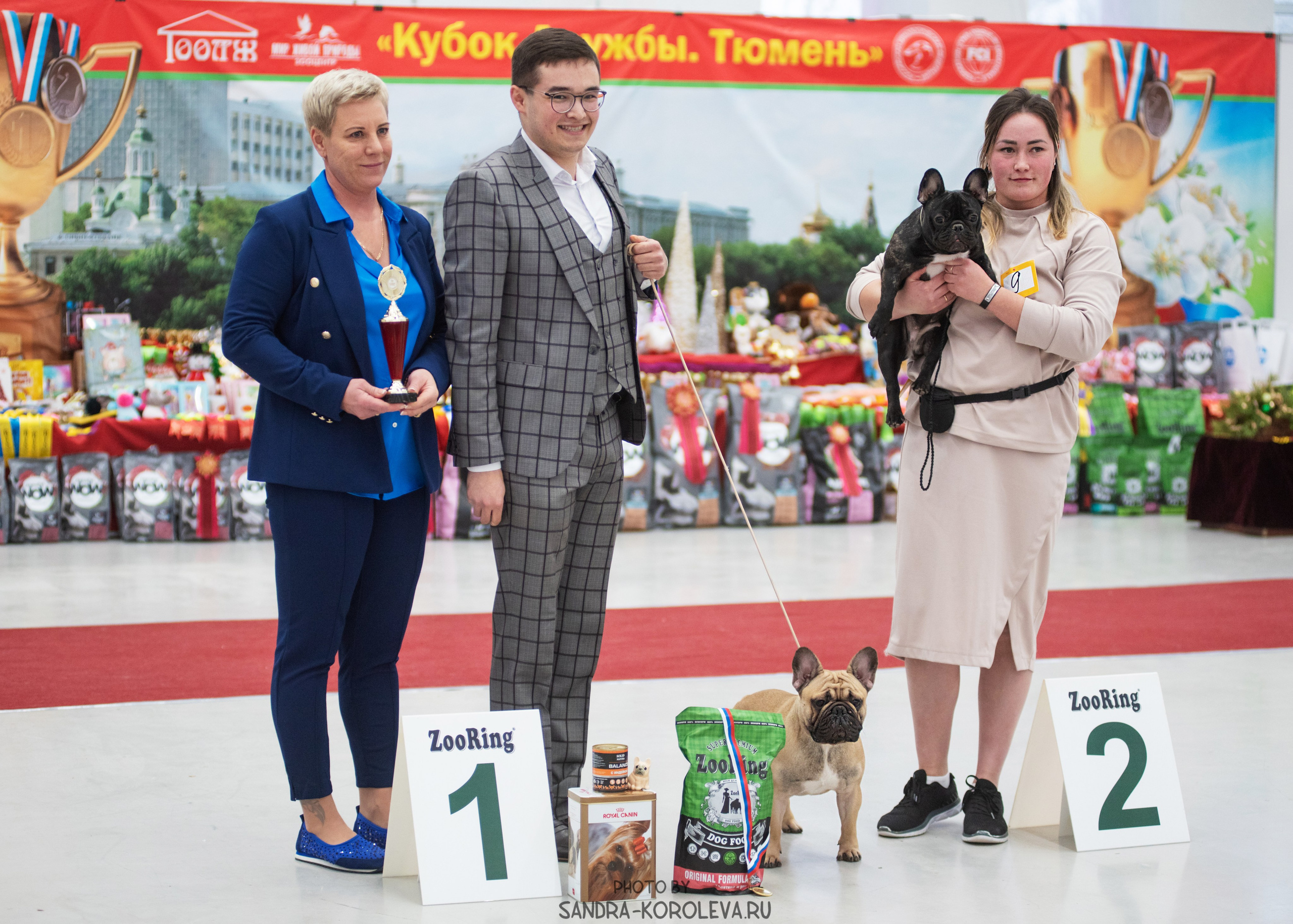 Выставка собак тюмень 10.12.2022. Дог-фотограф в Тюмени Александра Королева