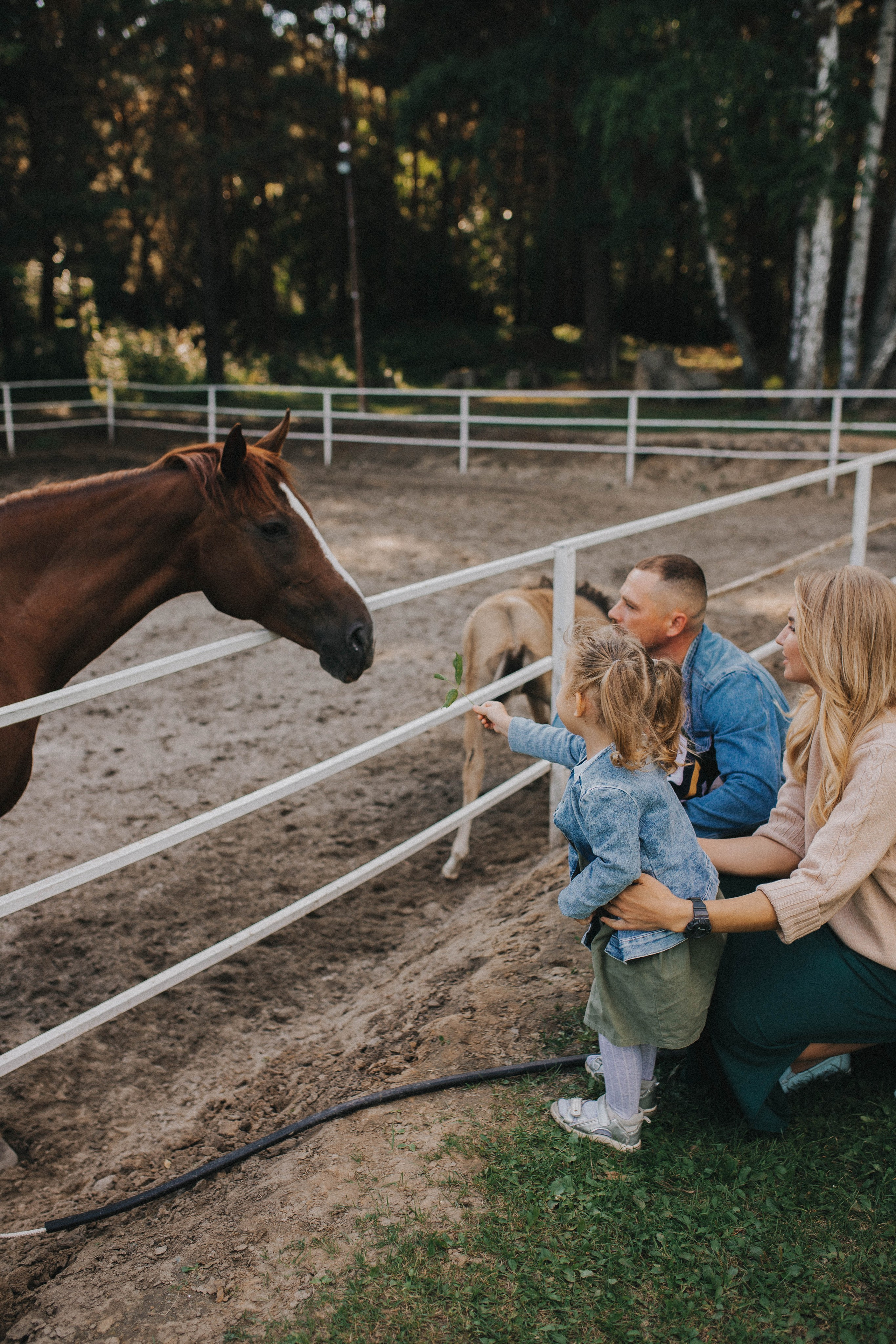 «Ма, па, поехали на лошадок смотреть!». Свадебный фотограф Новосибирск
