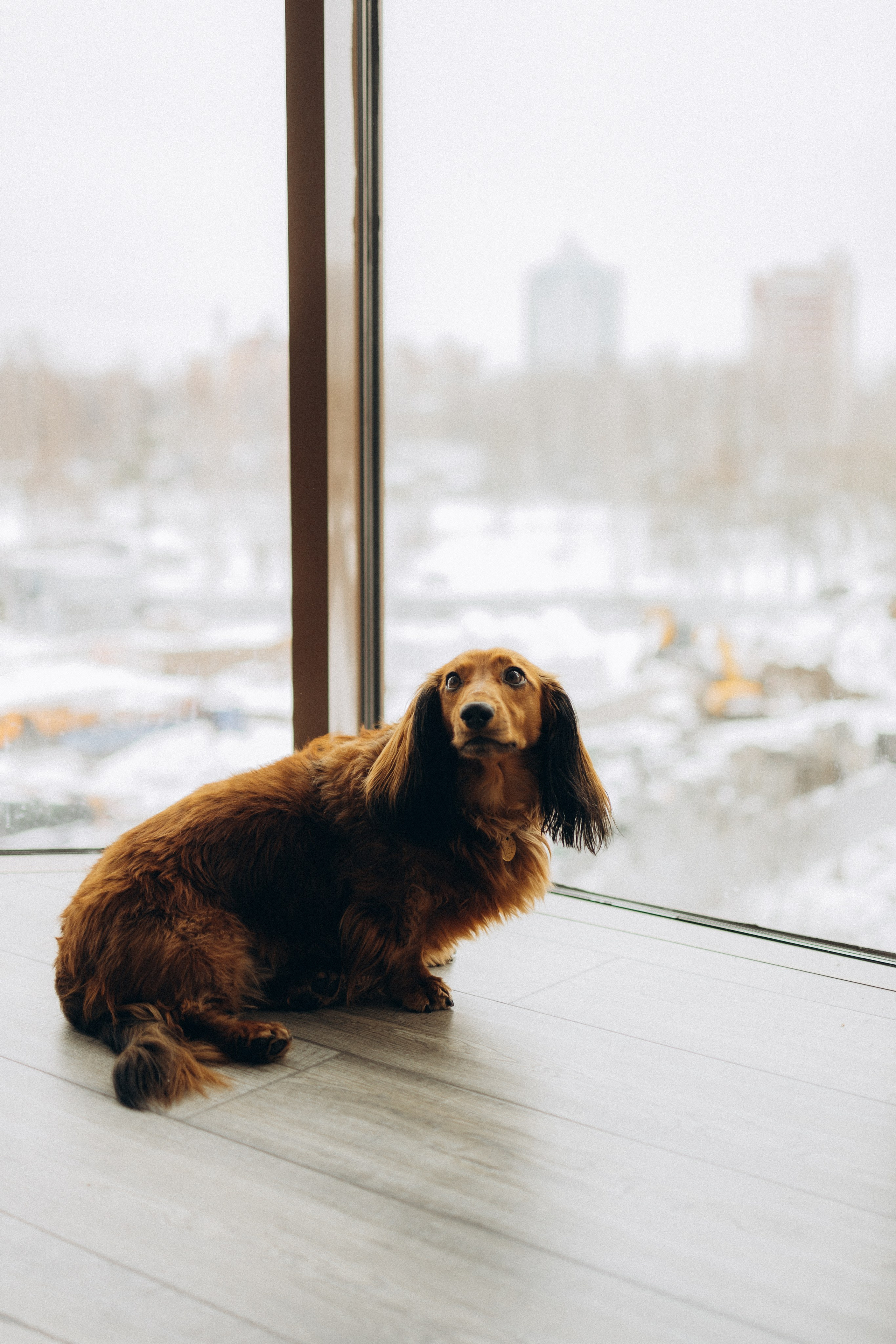 Полина, Максим и малышка Нина. Семейный, домашний, ньюборн фотограф Москва Цветкова Елизавета