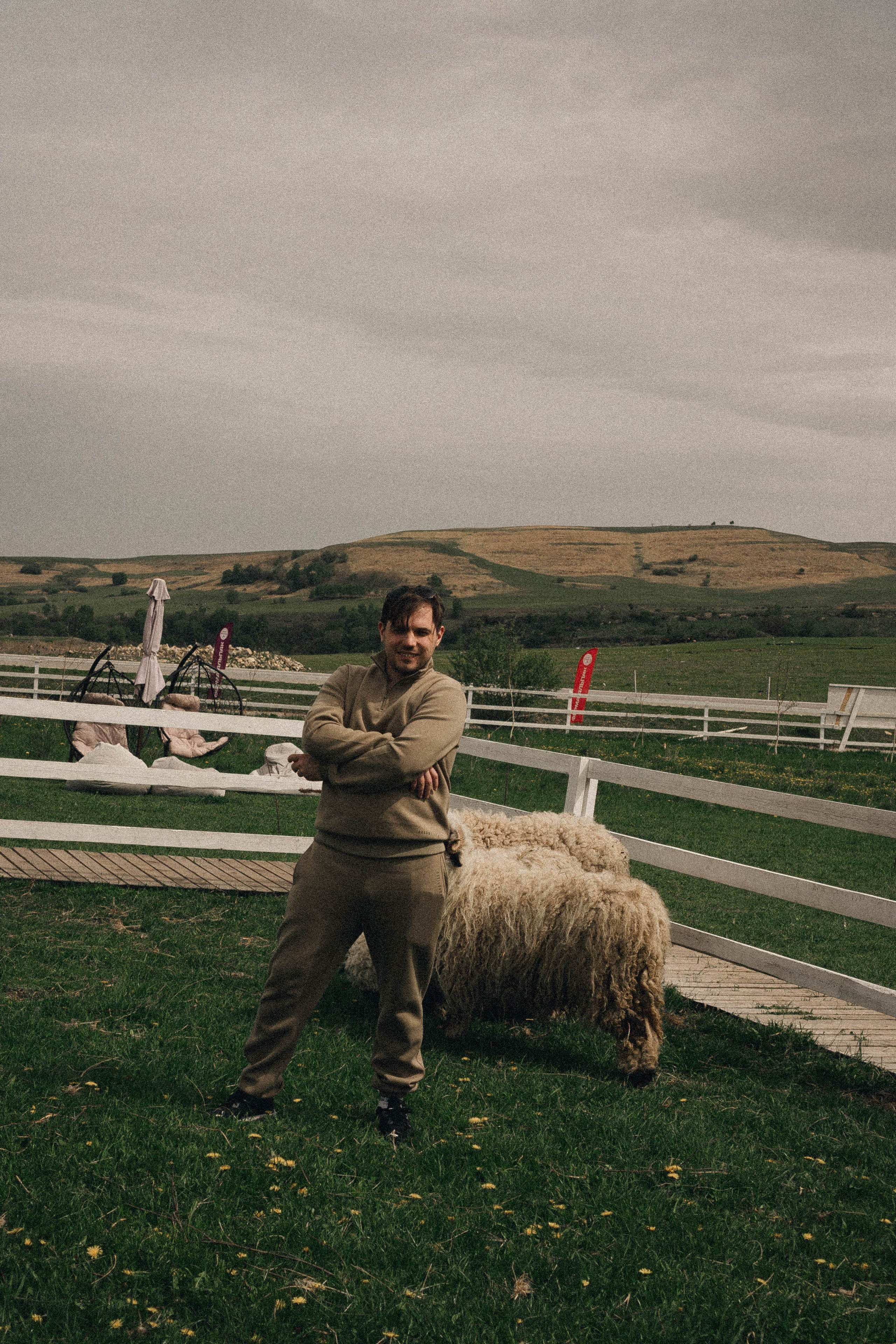 Ферма Альпак. Профессиональный фотограф, Санкт-Петербург — Виктория Богомолова