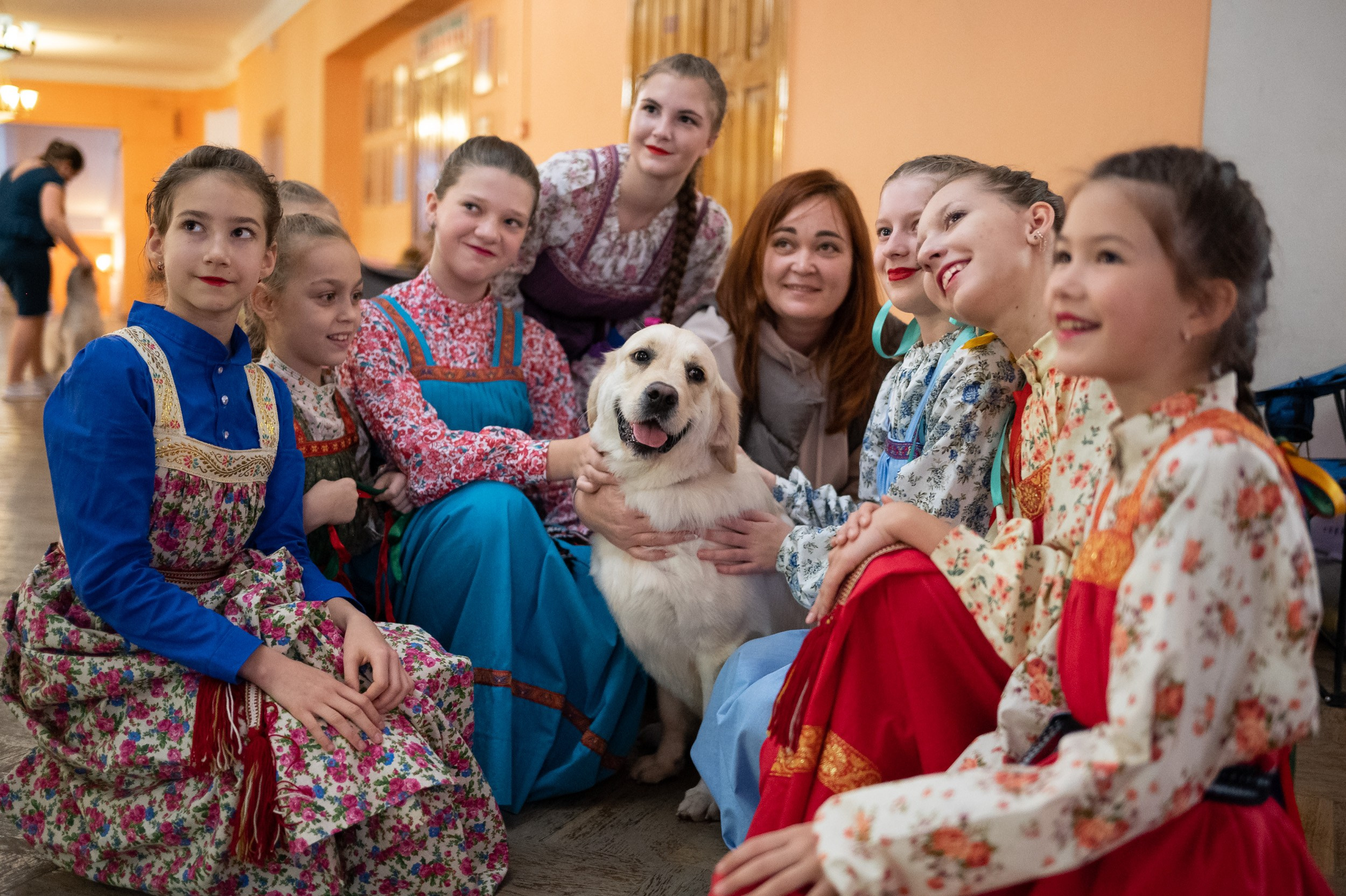 Выставка собак. Фотограф и видеооператор в Туле | Даниил Рыбак