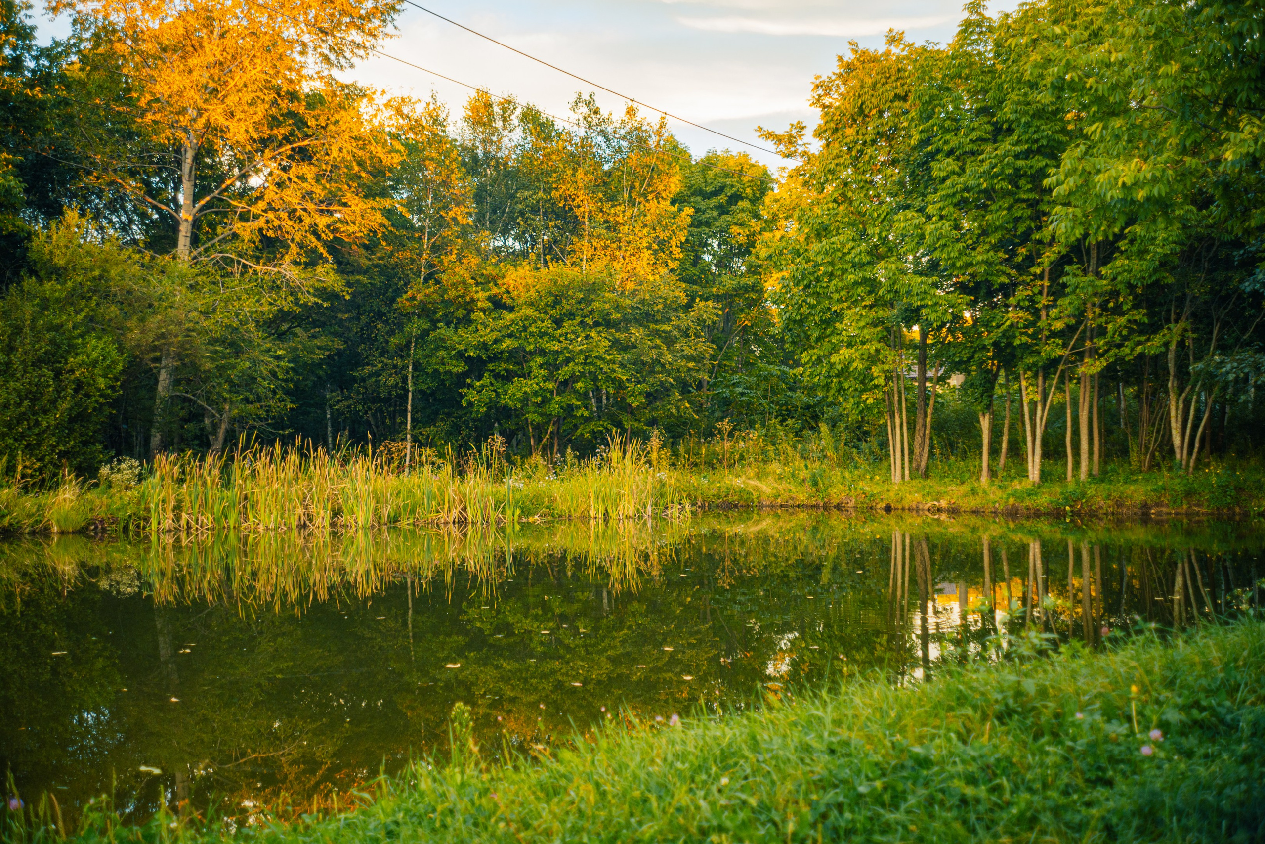 Майхинское хозяйство. Иван Зайцев (IZIART) — создание культурного кода через фото и видео