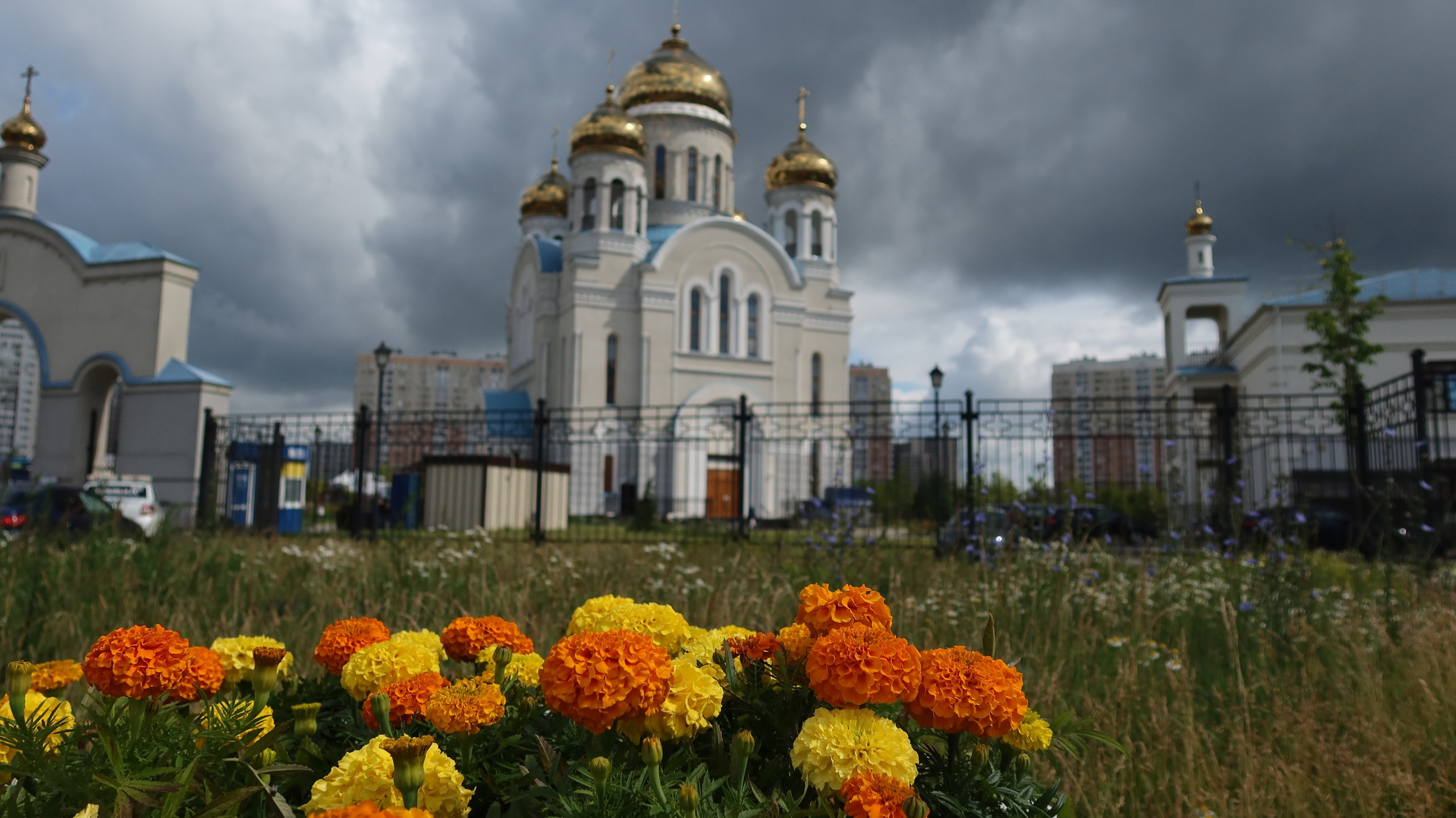 Осень 2023. Улица, люди, жизнь…