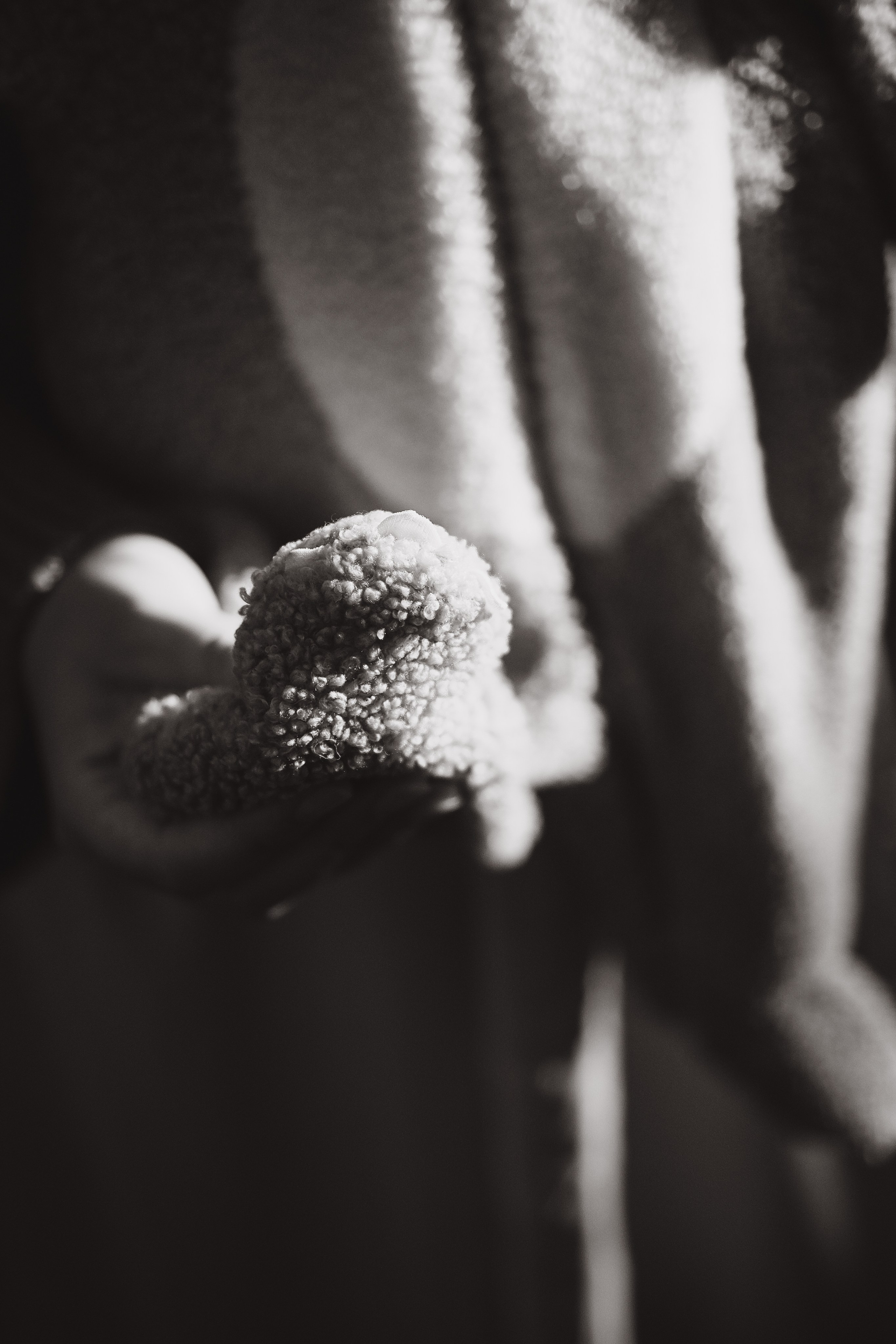 Маша & Влад. Phdkvmr.ru